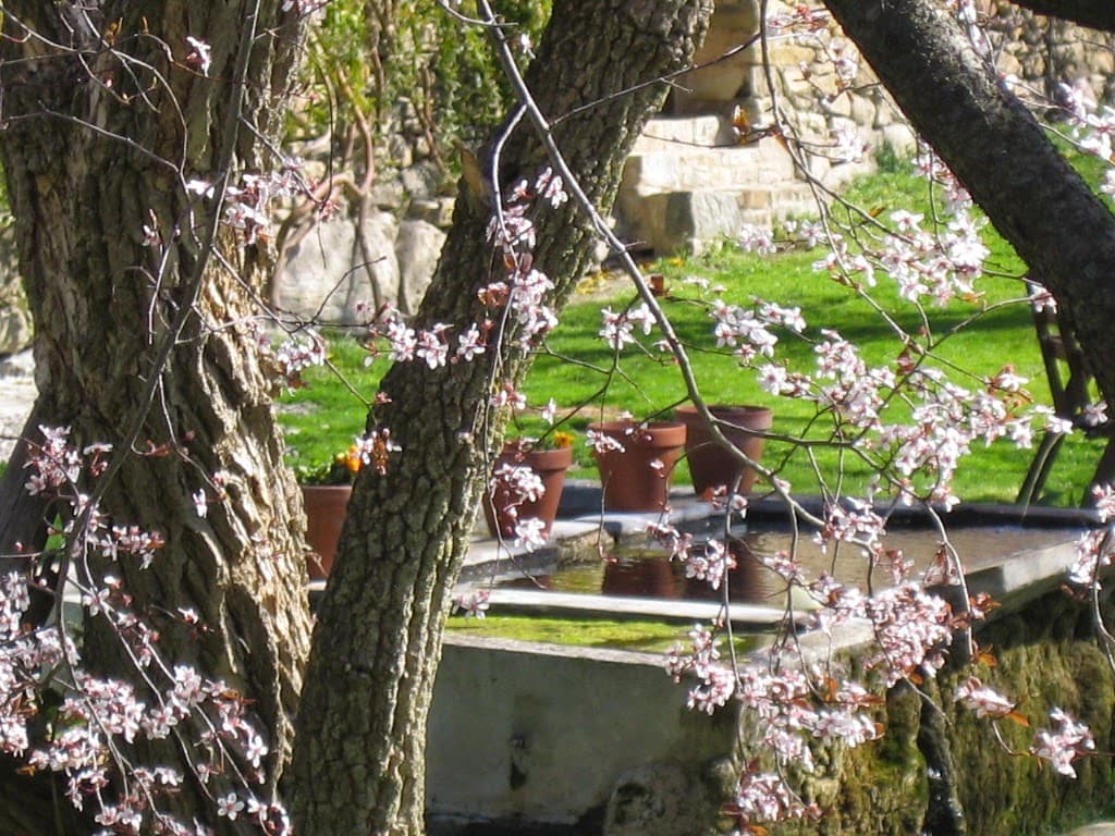 Casa de la Font - Image 1