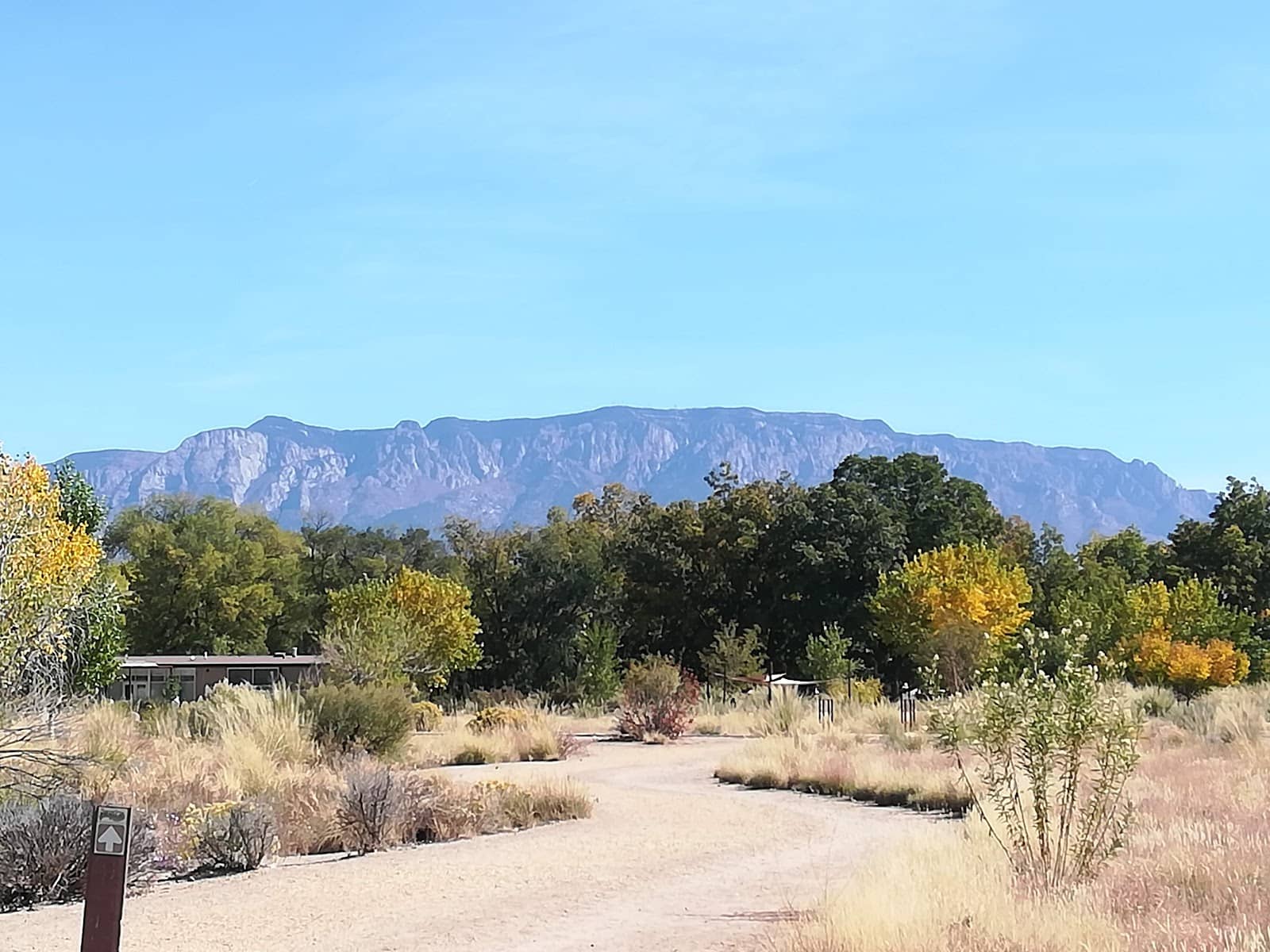 Memorial Rose Garden