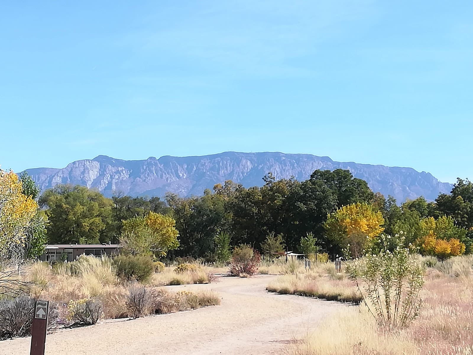 Bachechi Open Space - Image 1