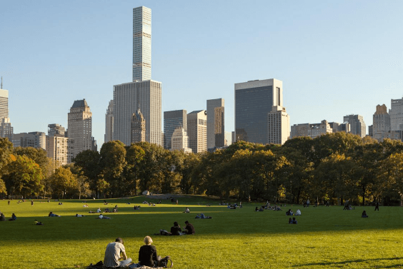 Great Lawn - Image 1