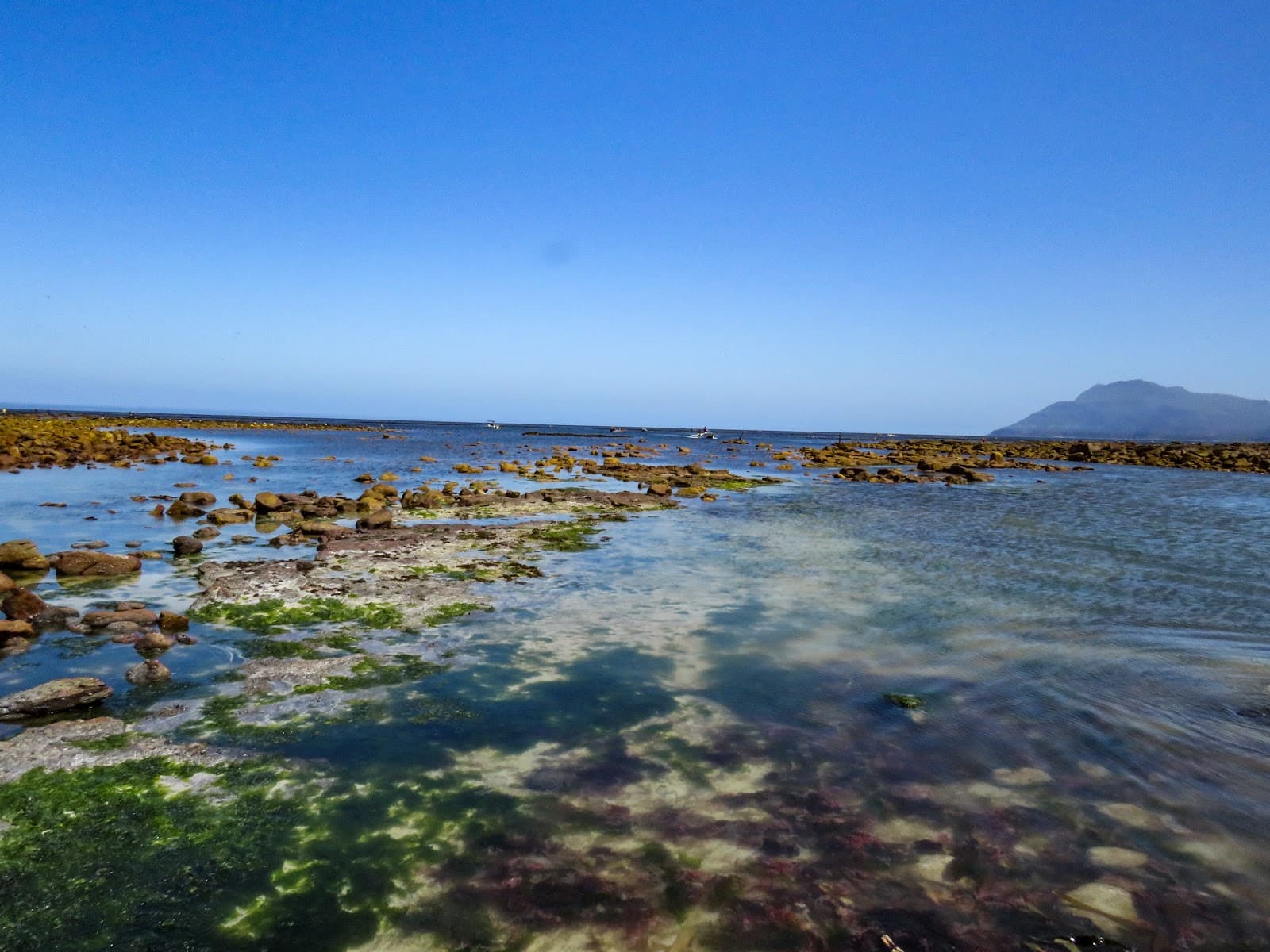 Kommetjie Cape Town - Image 1