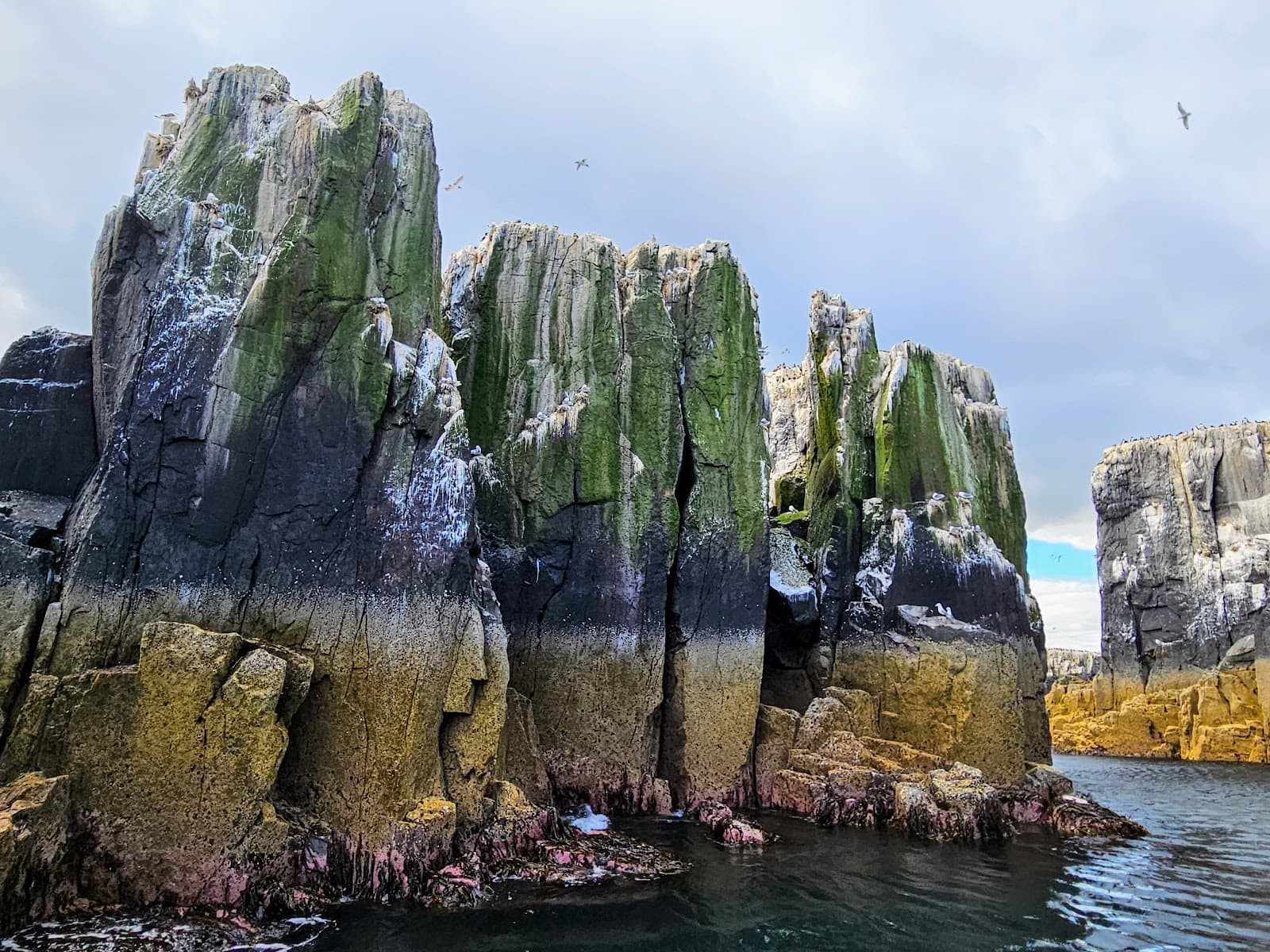 Farne Islands - Image 1