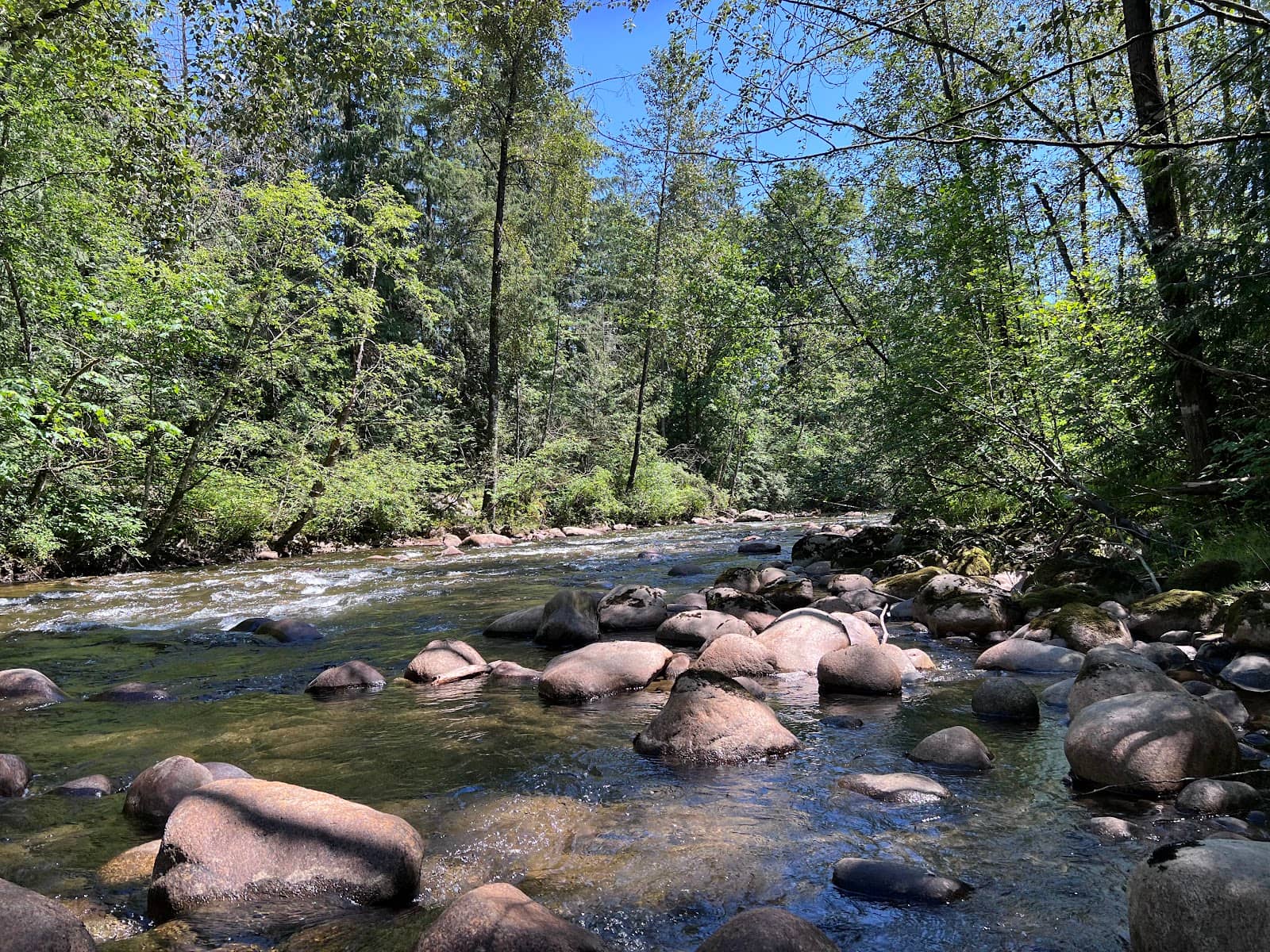 Peaceful Riverside Ambiance
