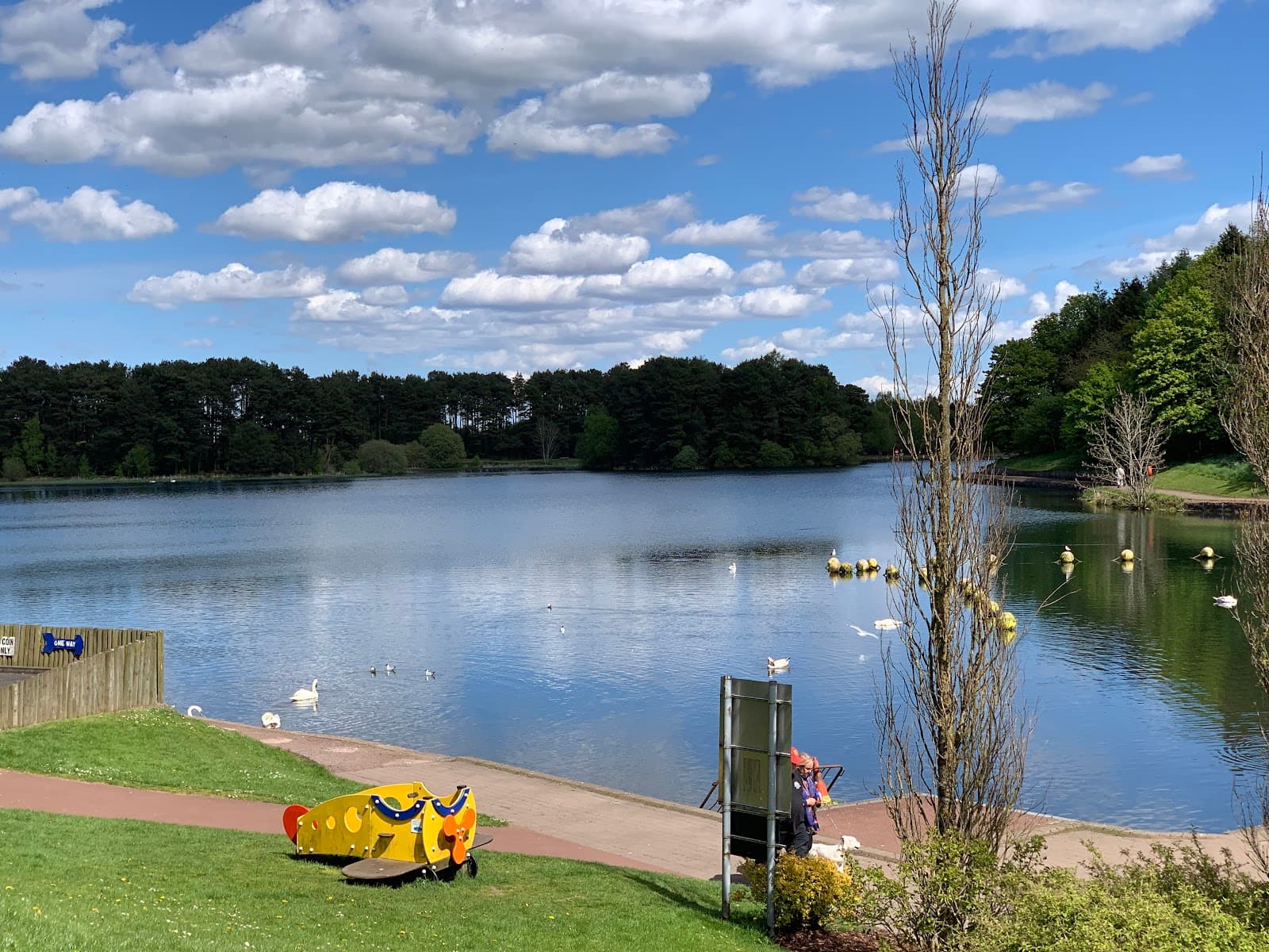 Lanark Loch - Image 1