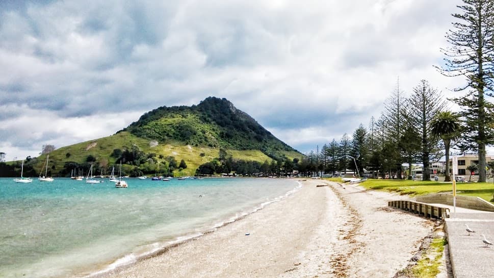 Maunganui Road Mount Maunganui - Image 1