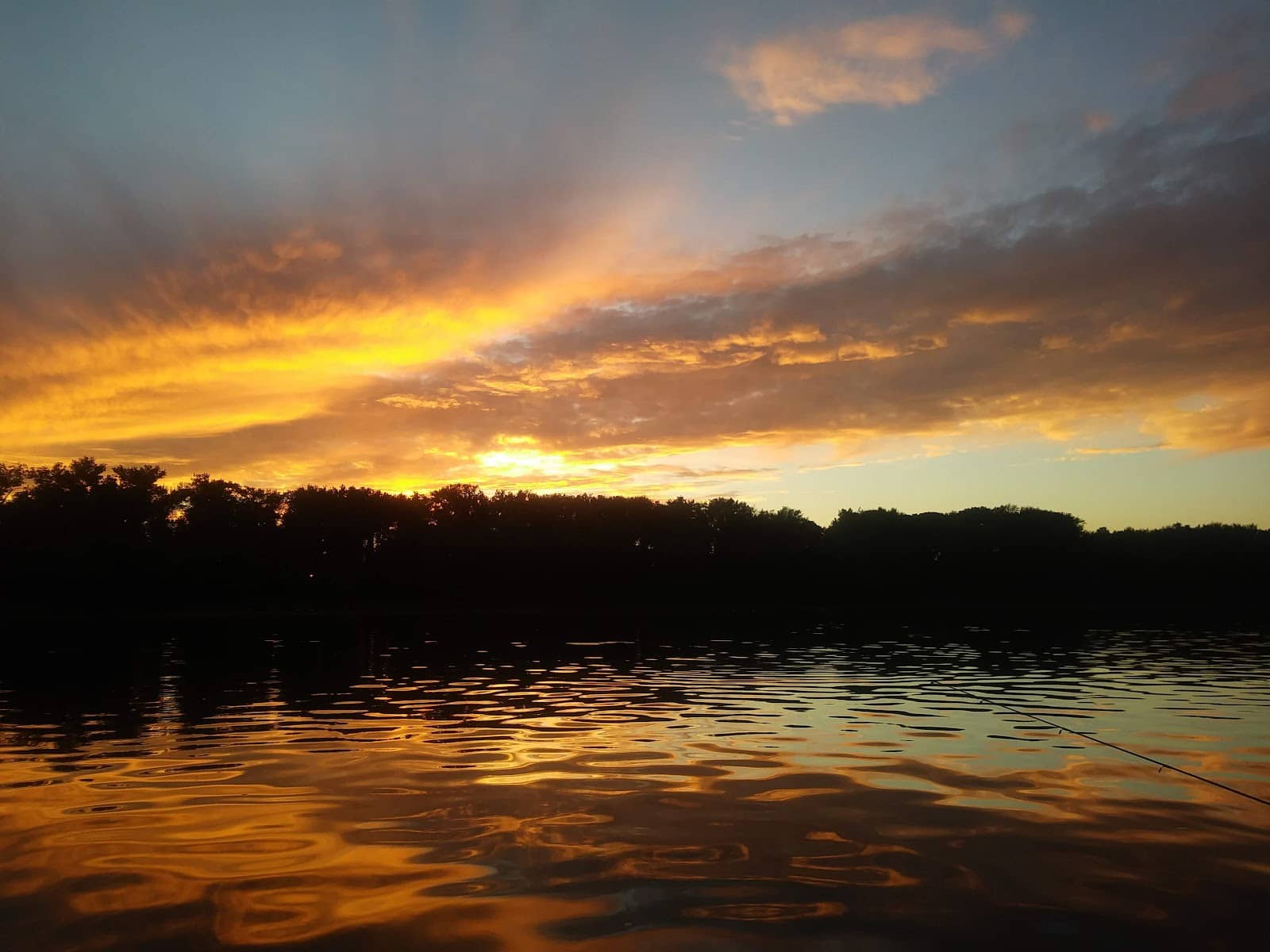 Autumn Foliage Views