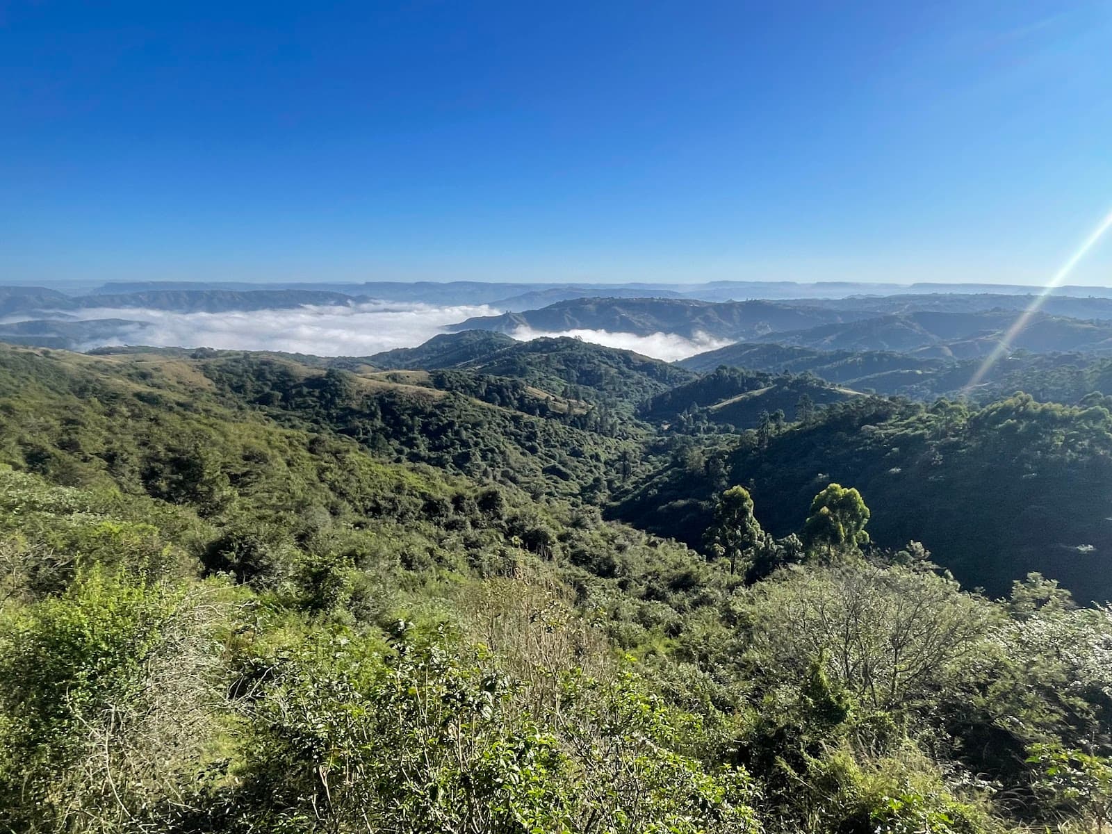 PheZulu Safari Park - Image 1
