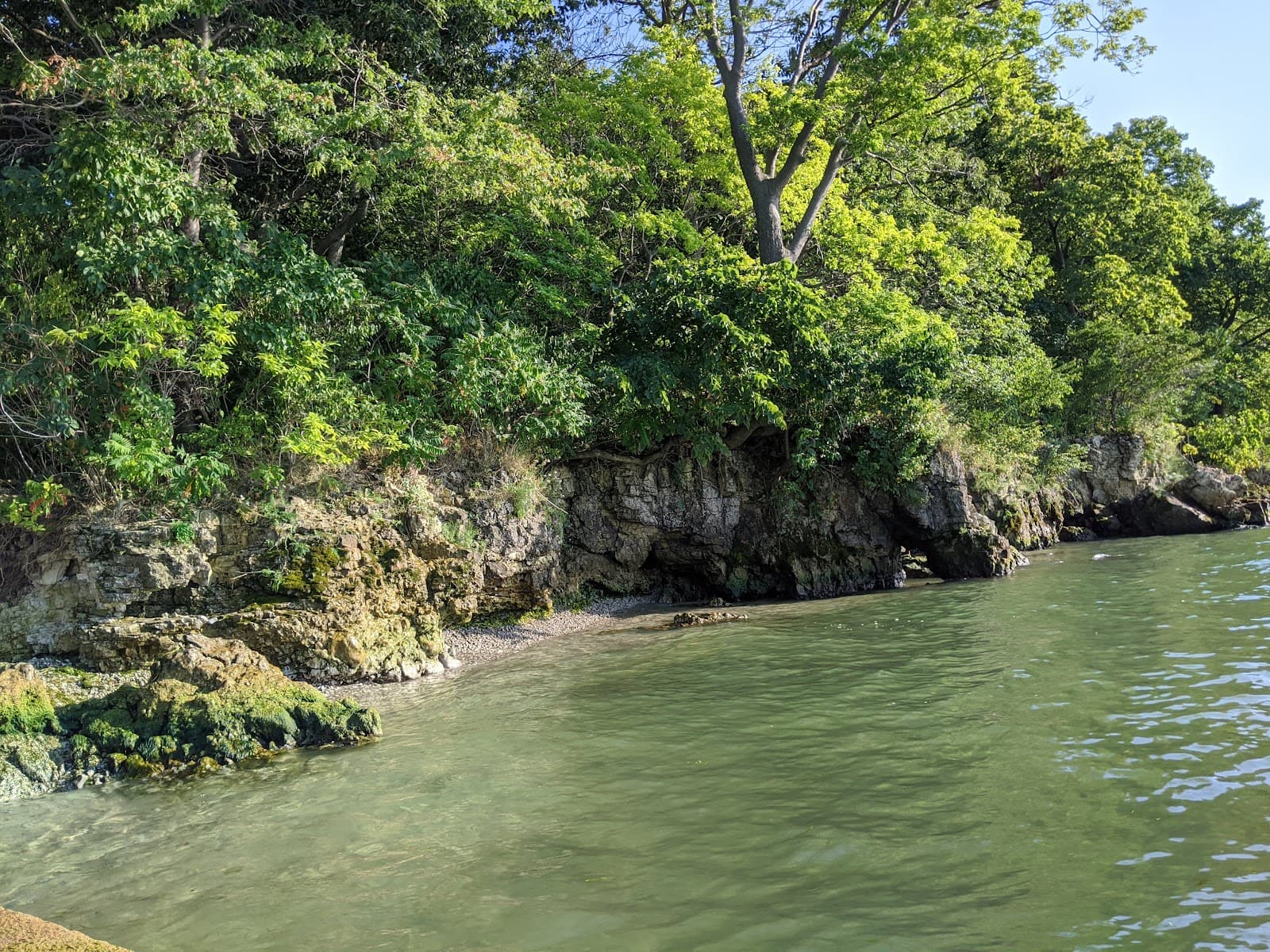 Massie Cliffside Preserve - Image 1