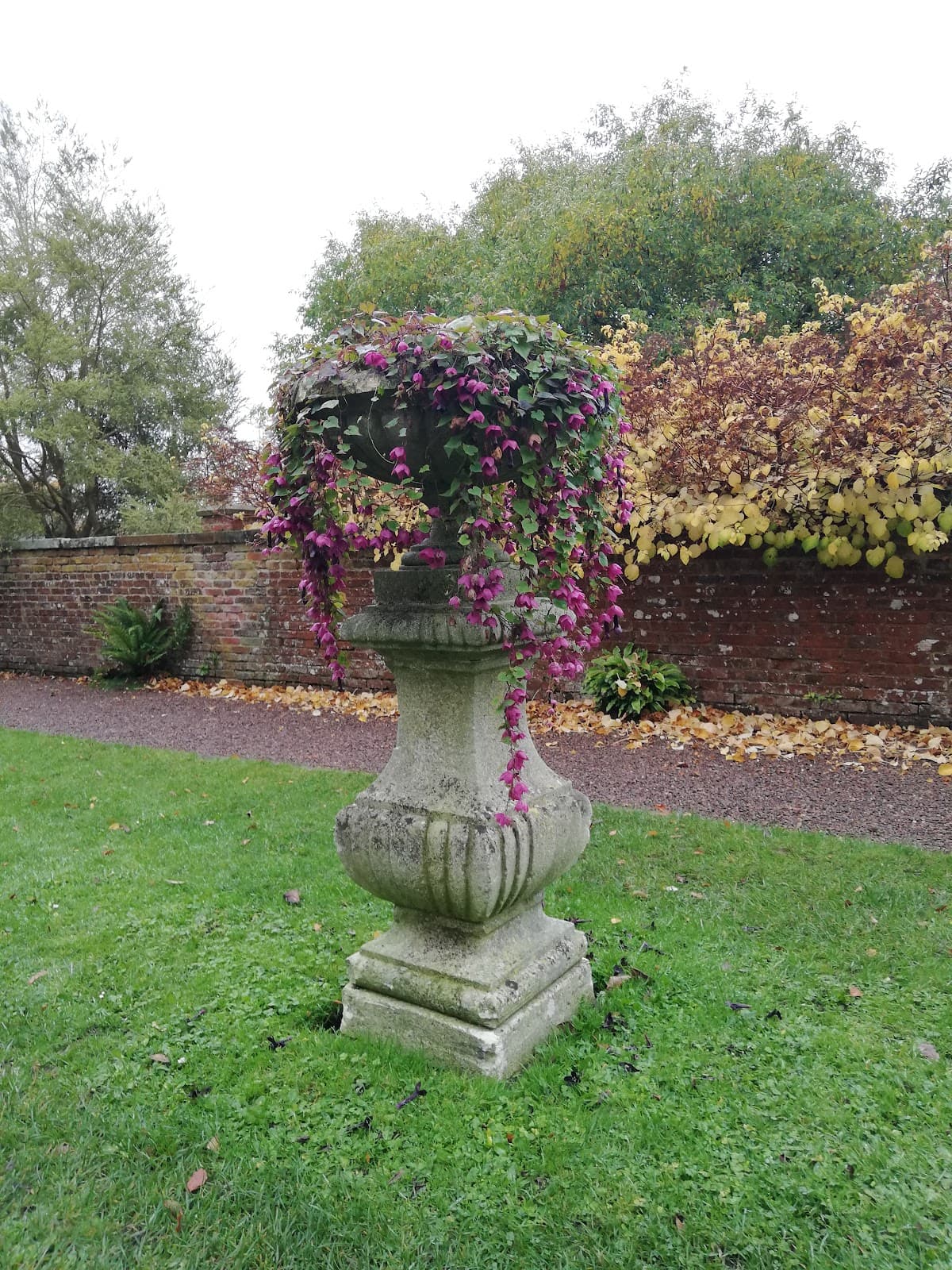 Wallington - Image 1