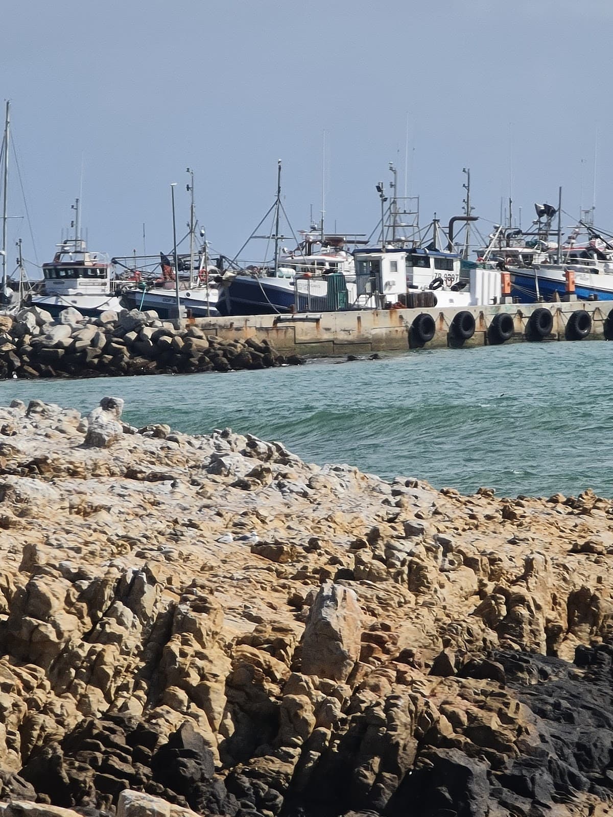 Gansbaai Harbour - Image 1