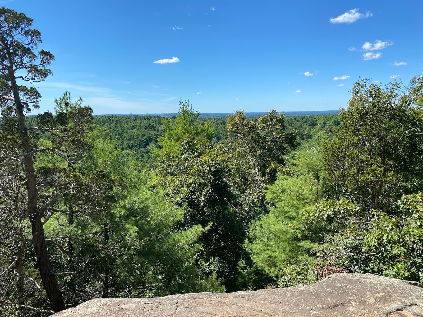 Moose Hill Wildlife Sanctuary - Image 1