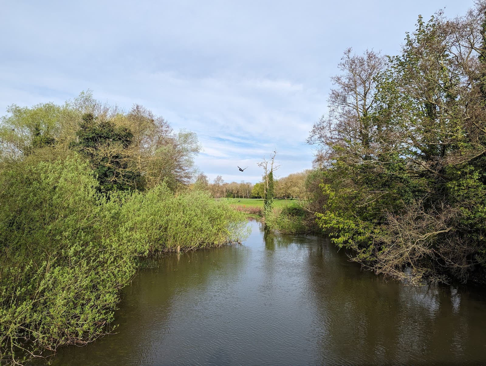 Anderson's Meadow - Image 1