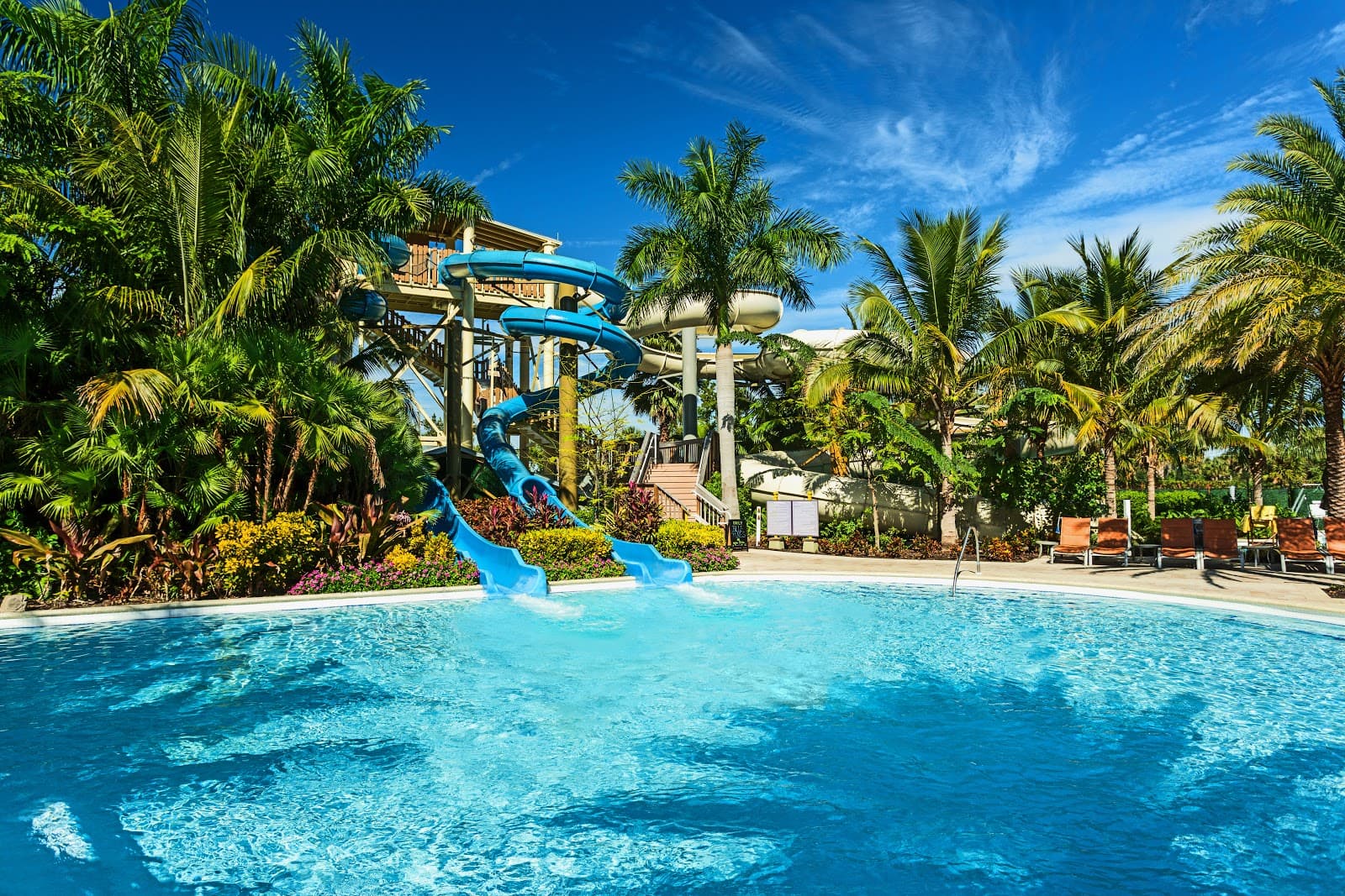 Hyatt Regency Coconut Point Resort and Spa - Image 1