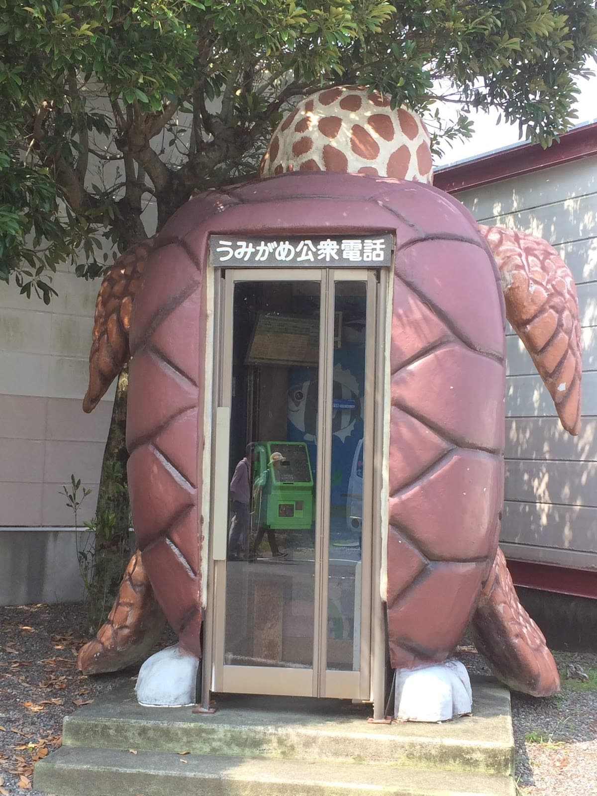 Hiwasa Sea Turtle Museum Caretta - Image 1