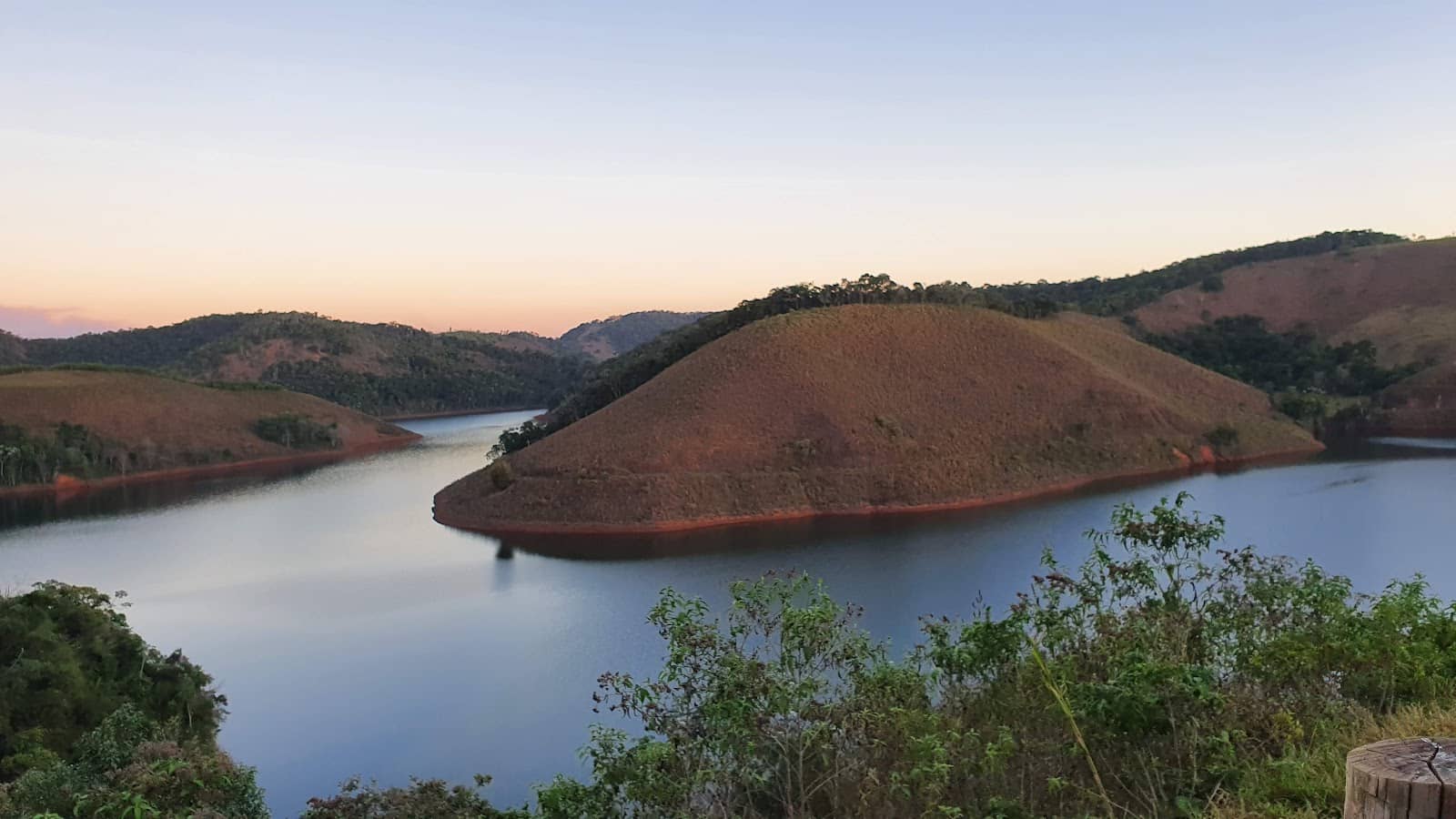 Abundant Aquatic Life