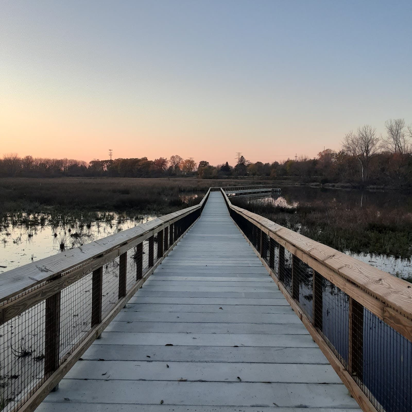 Manhattan Marsh Preserve - Image 1