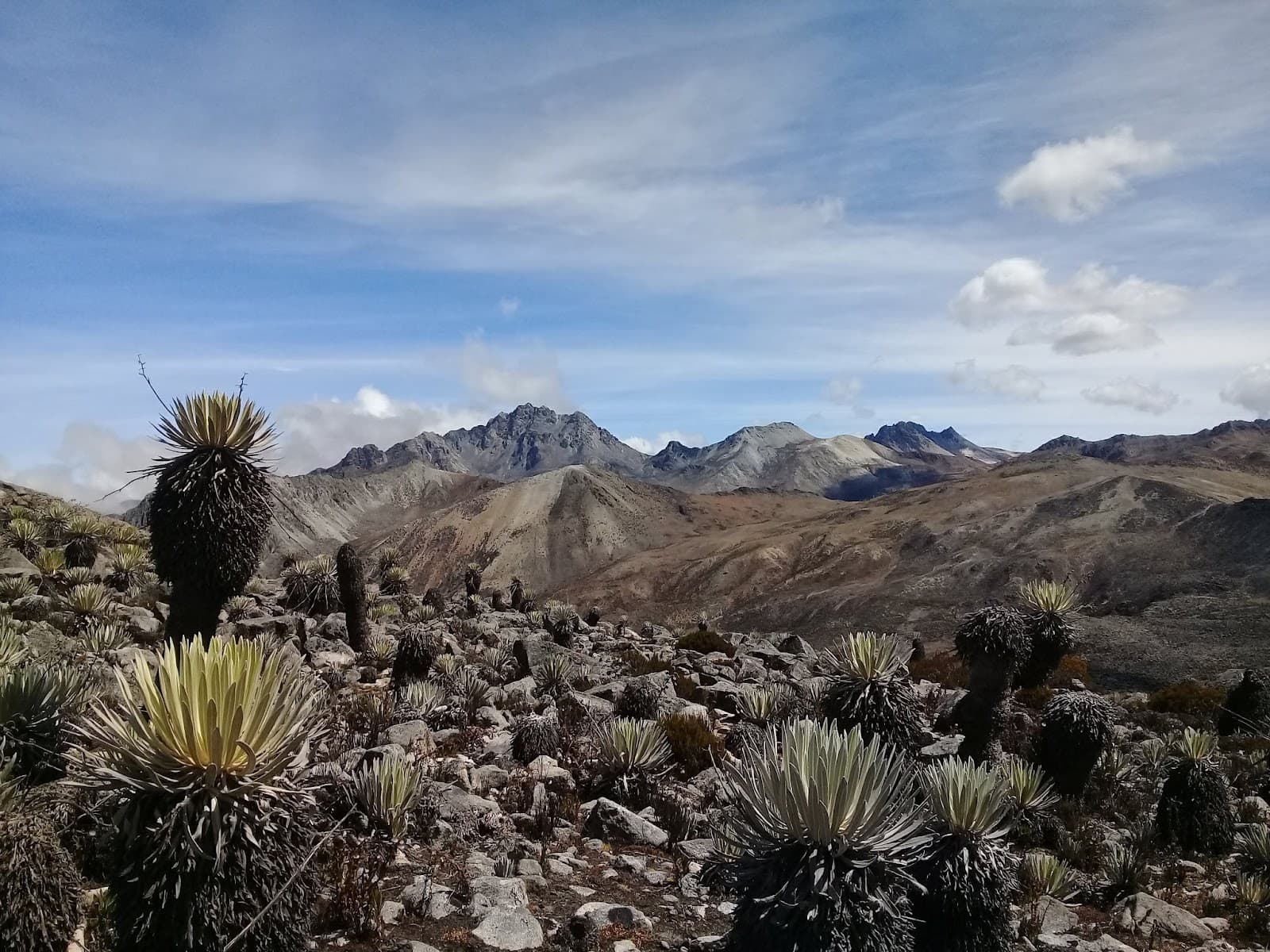 Sierra de La Culata National Park - Image 1