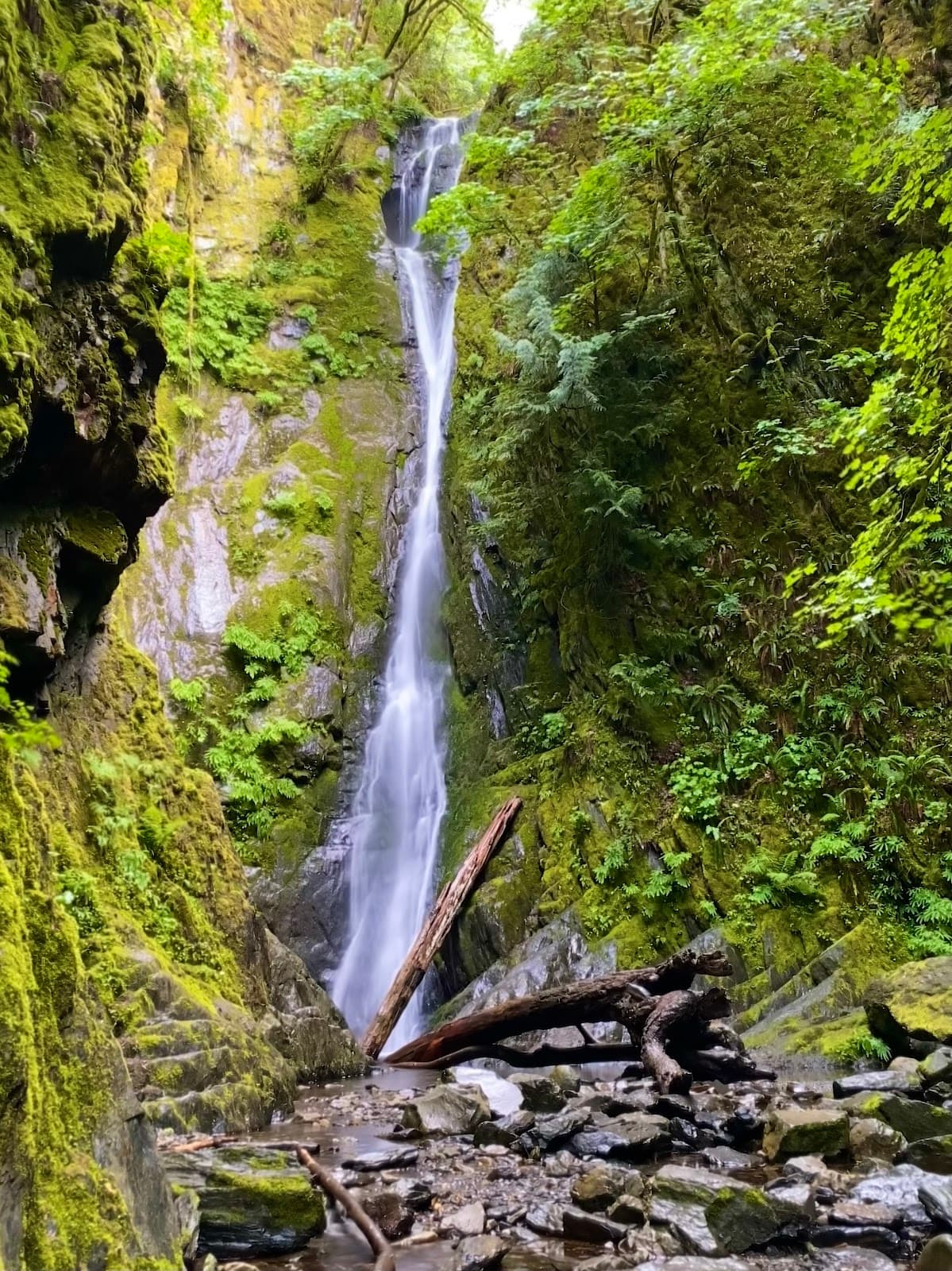 Niagara Falls (Goldstream) - Image 1