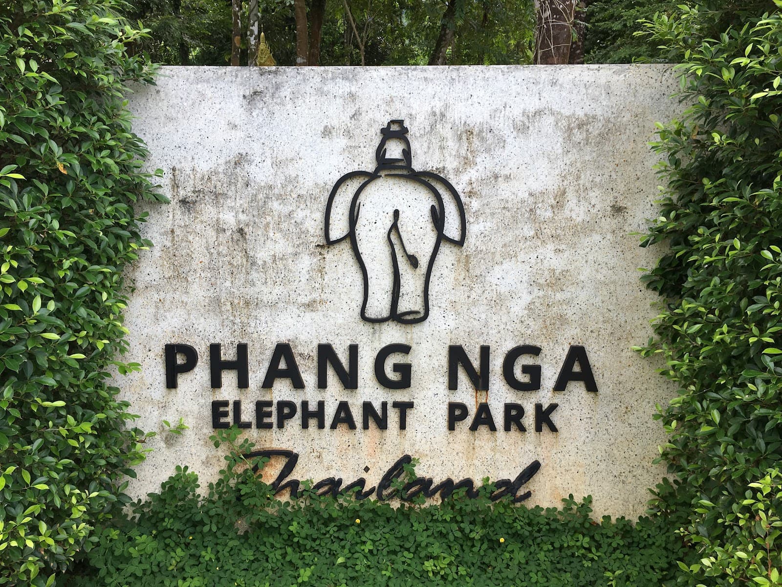 Phang Nga Elephant Park Phang Nga Thailand - Image 1