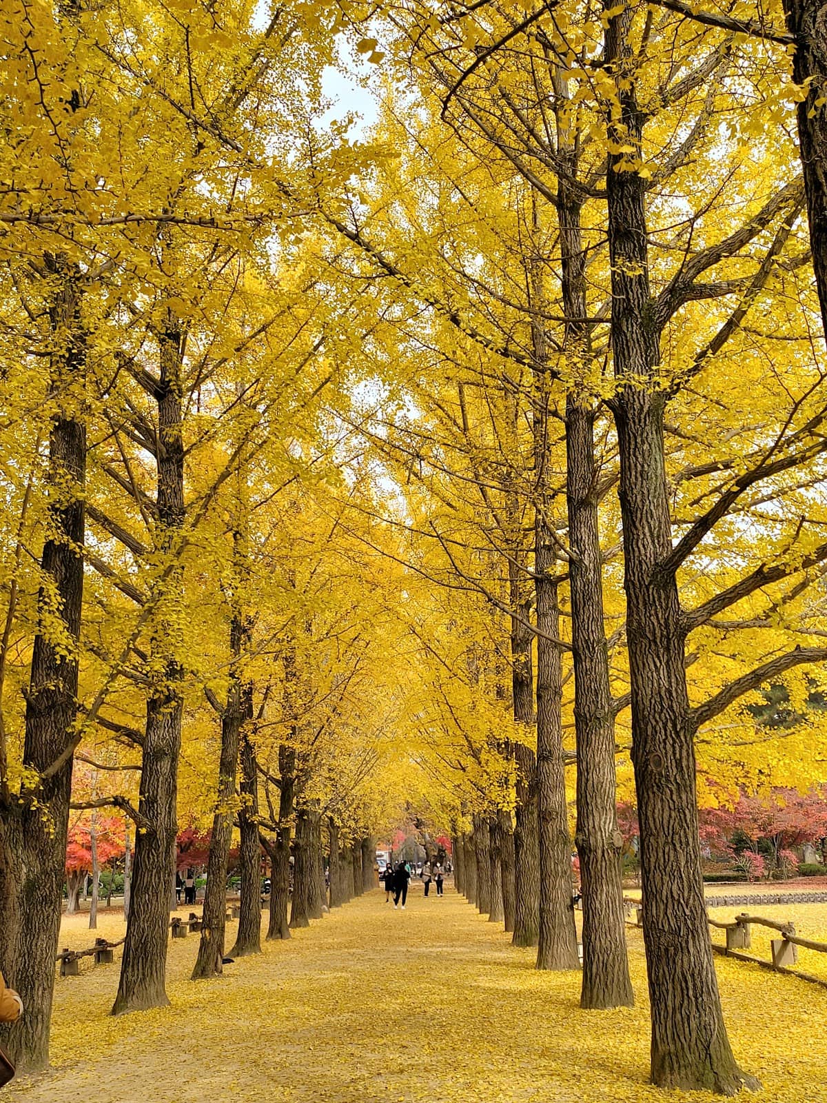 Winter Sonata Filming Locations
