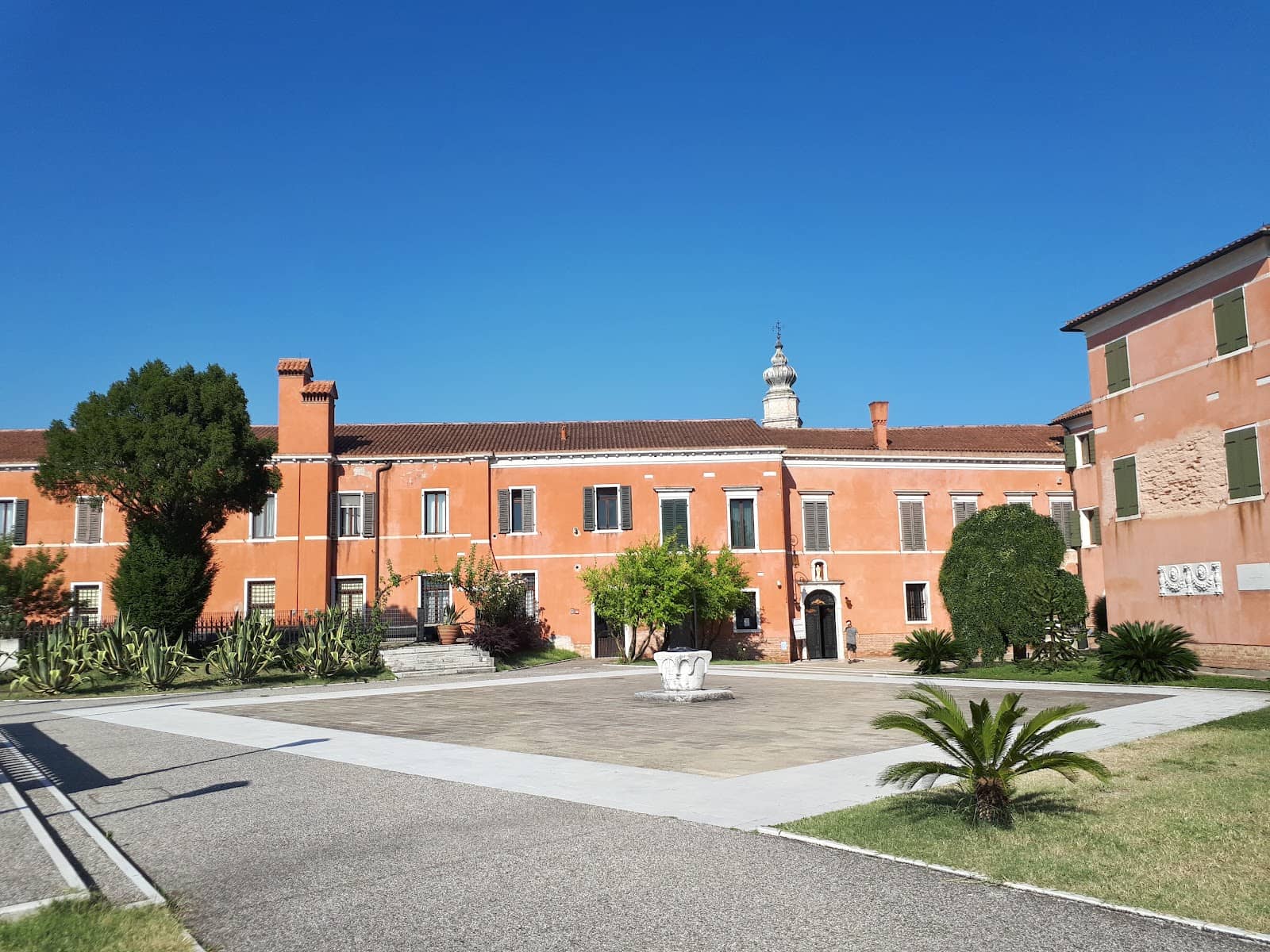 The Museum Collection