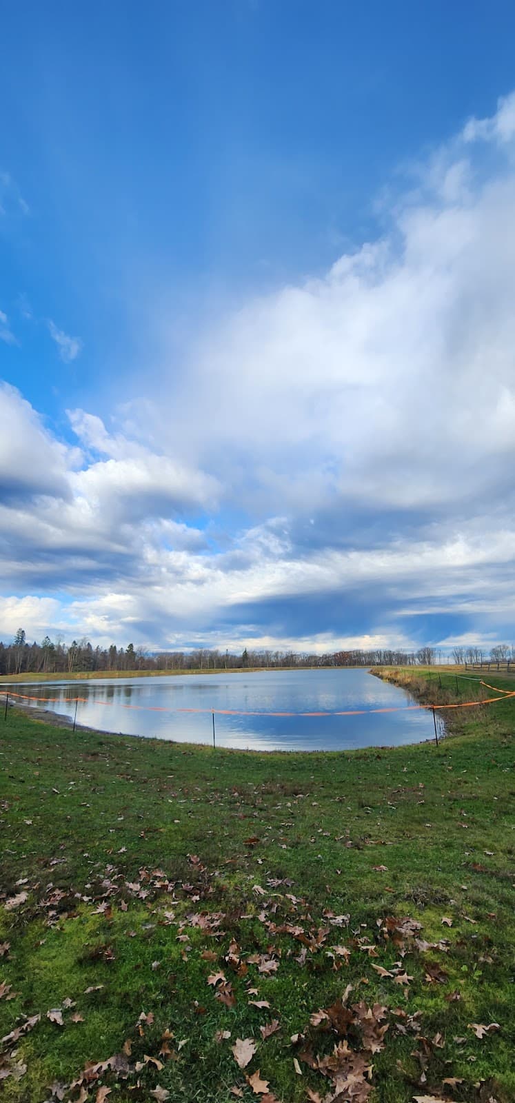 Spruce Lake - Image 1