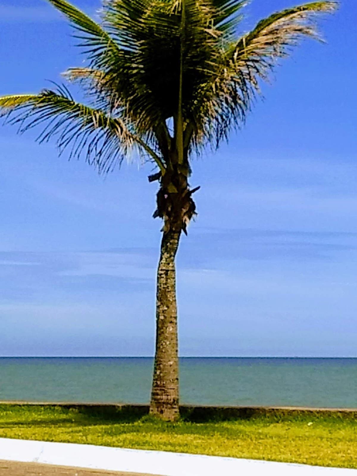 Oásis (bairro) - Image 1