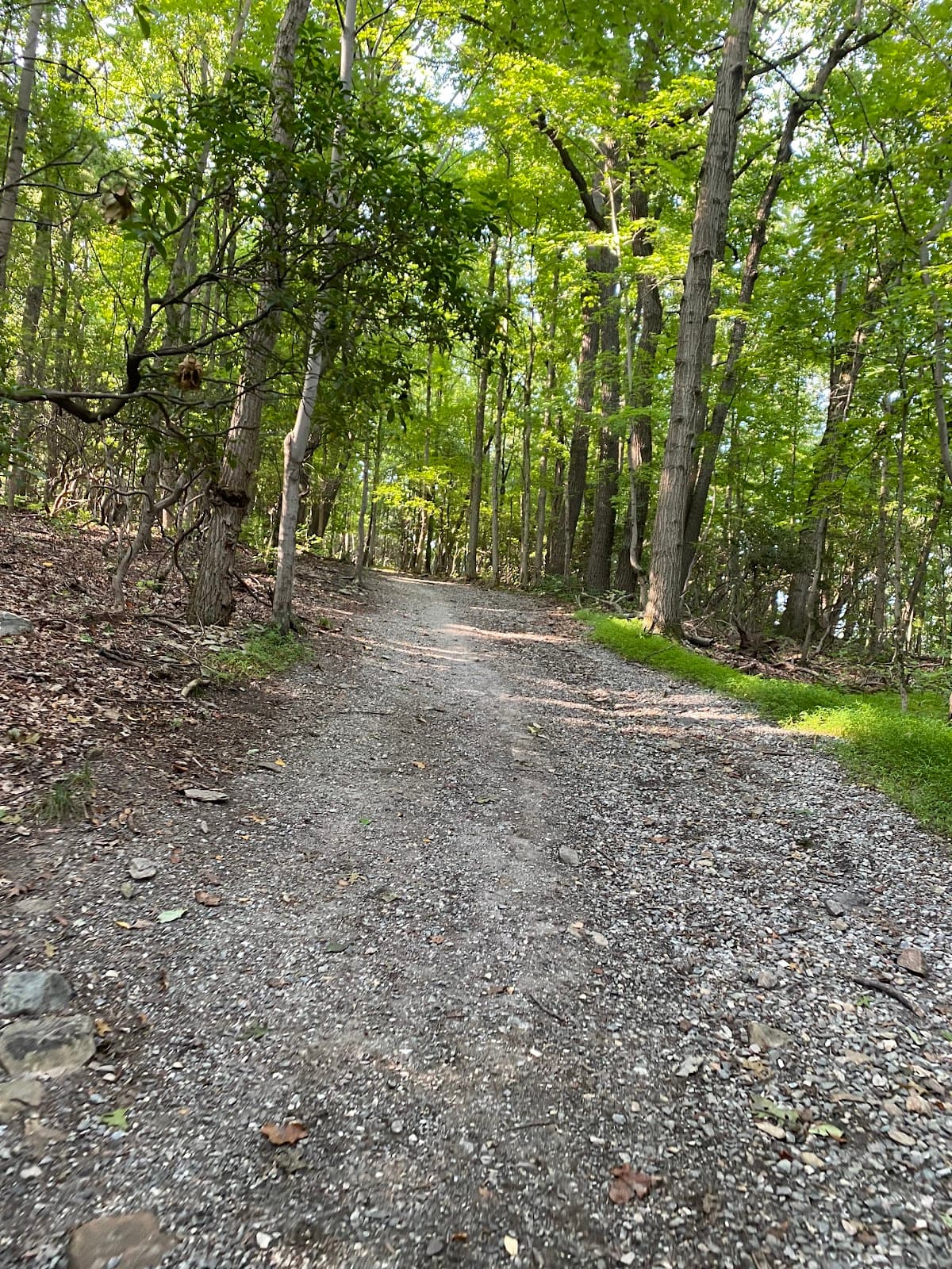 Mount Joy Trail - Image 1