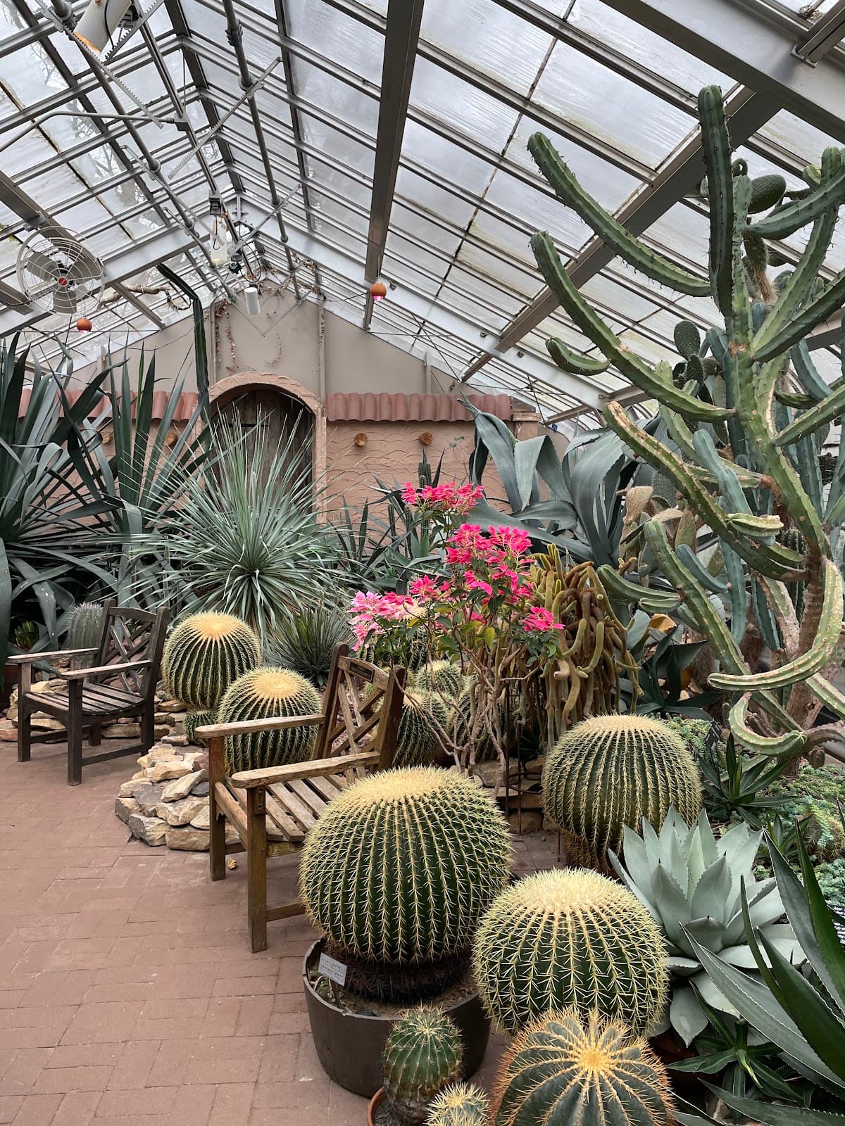 Lamberton Conservatory - Image 1