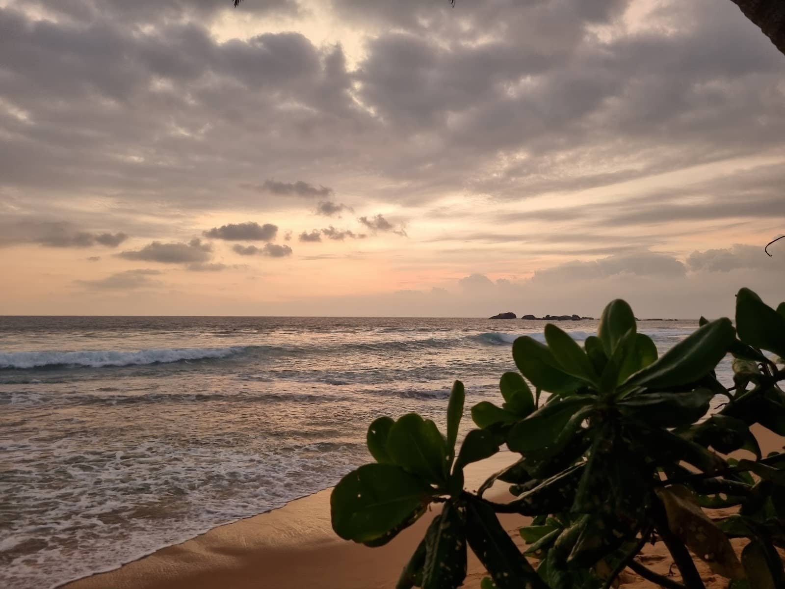 Sunset Spectacle