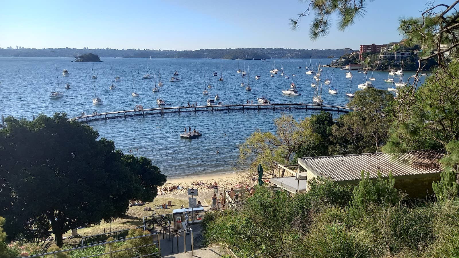 Marine Life Encounters