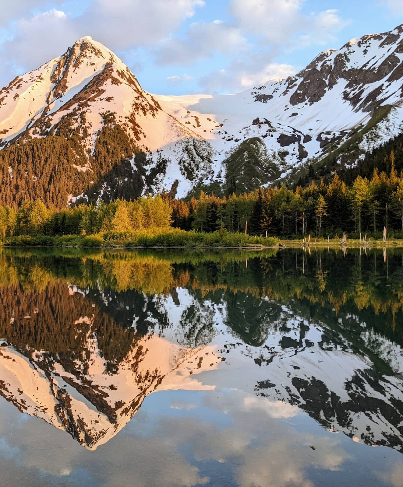 Alaska Wildlife Conservation Center