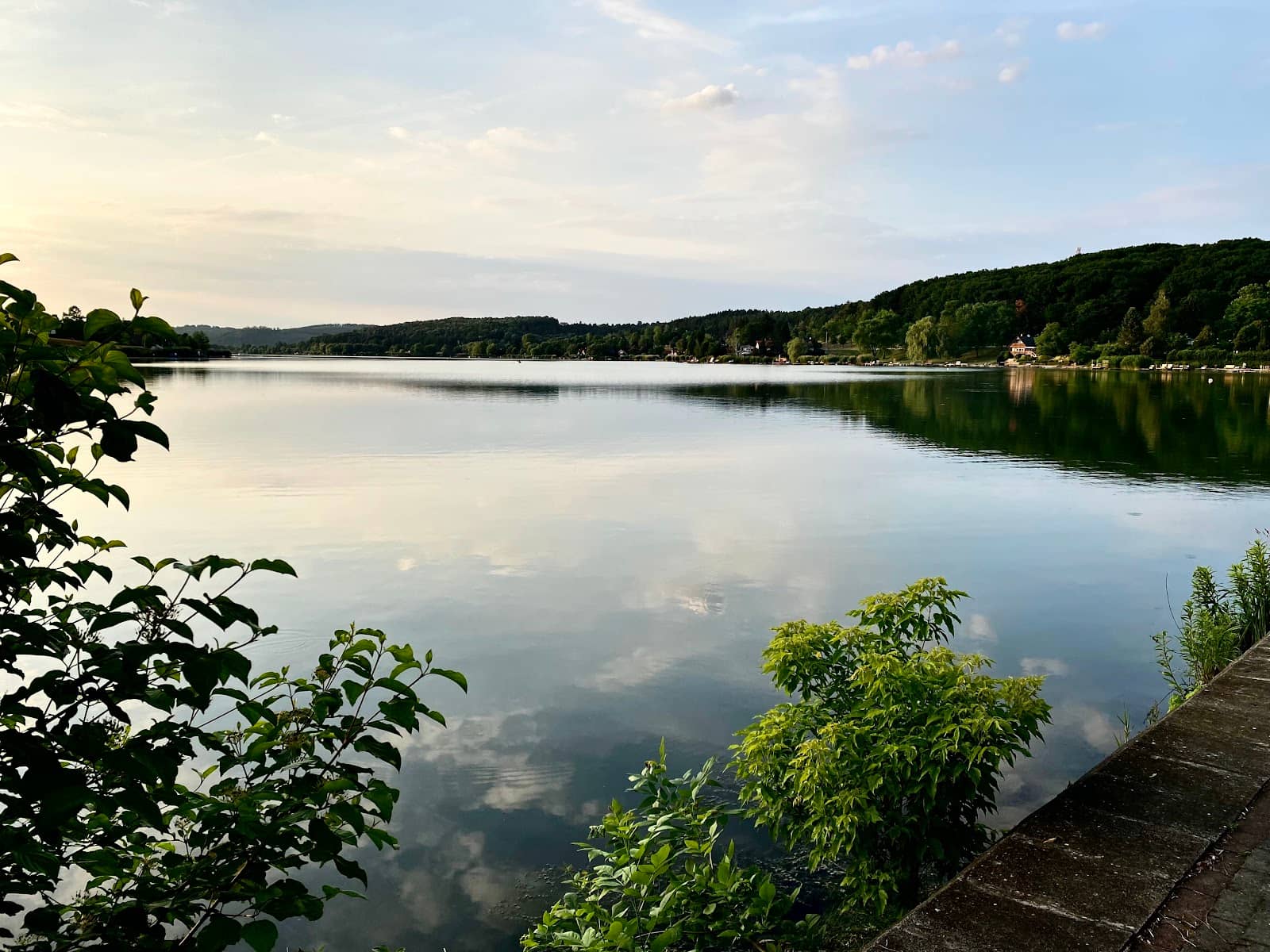 Peaceful Lakeside Views