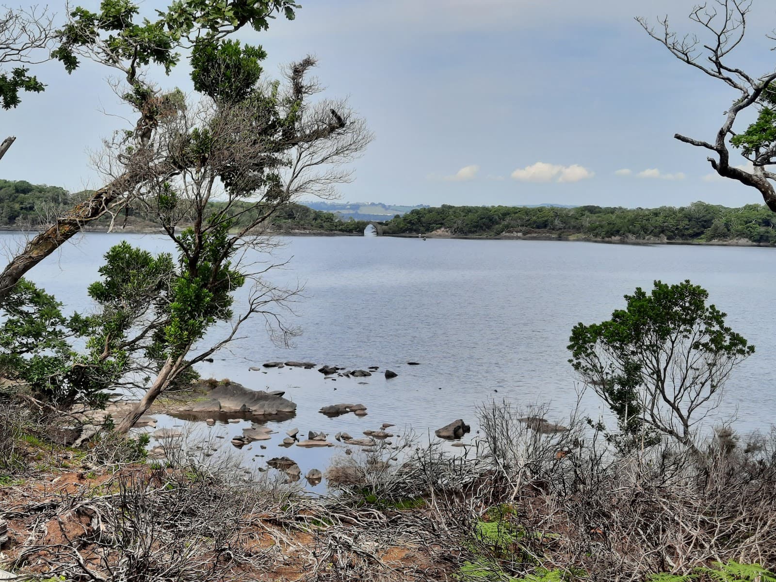 Meeting of the Waters Manaus - Image 1