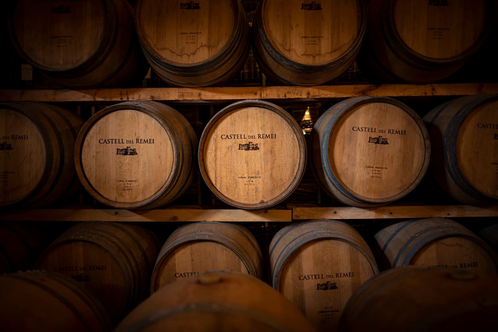 Castell del Remei Winery - Image 1