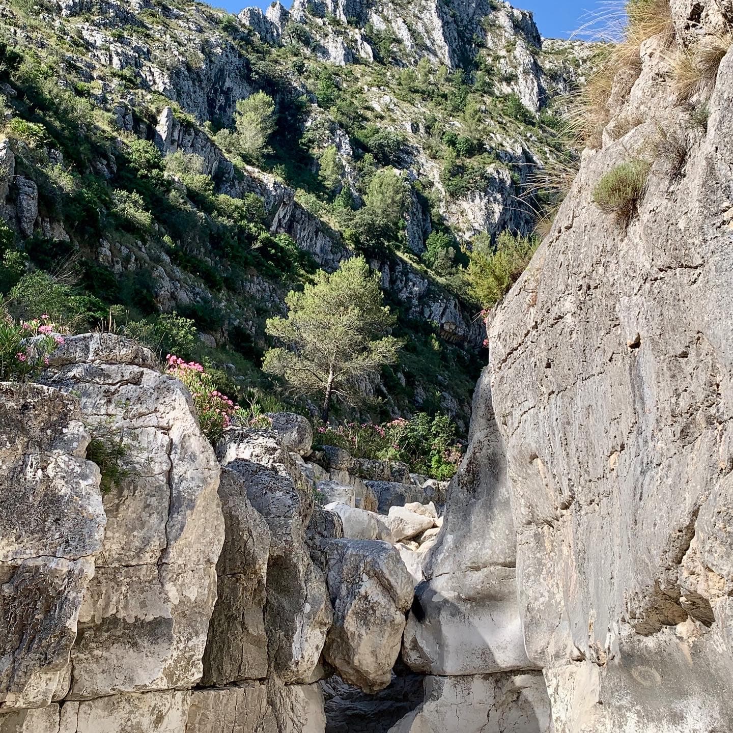 Vall de Laguar Barranc de l'Infern - Image 1