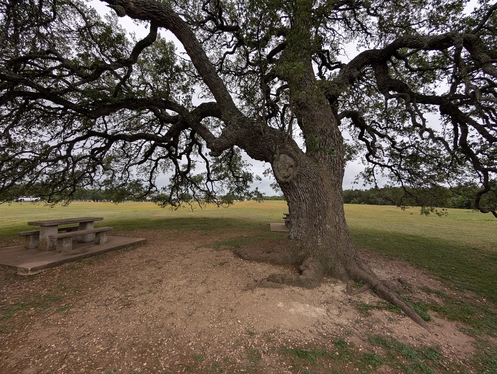 Founders Memorial Park - Image 1