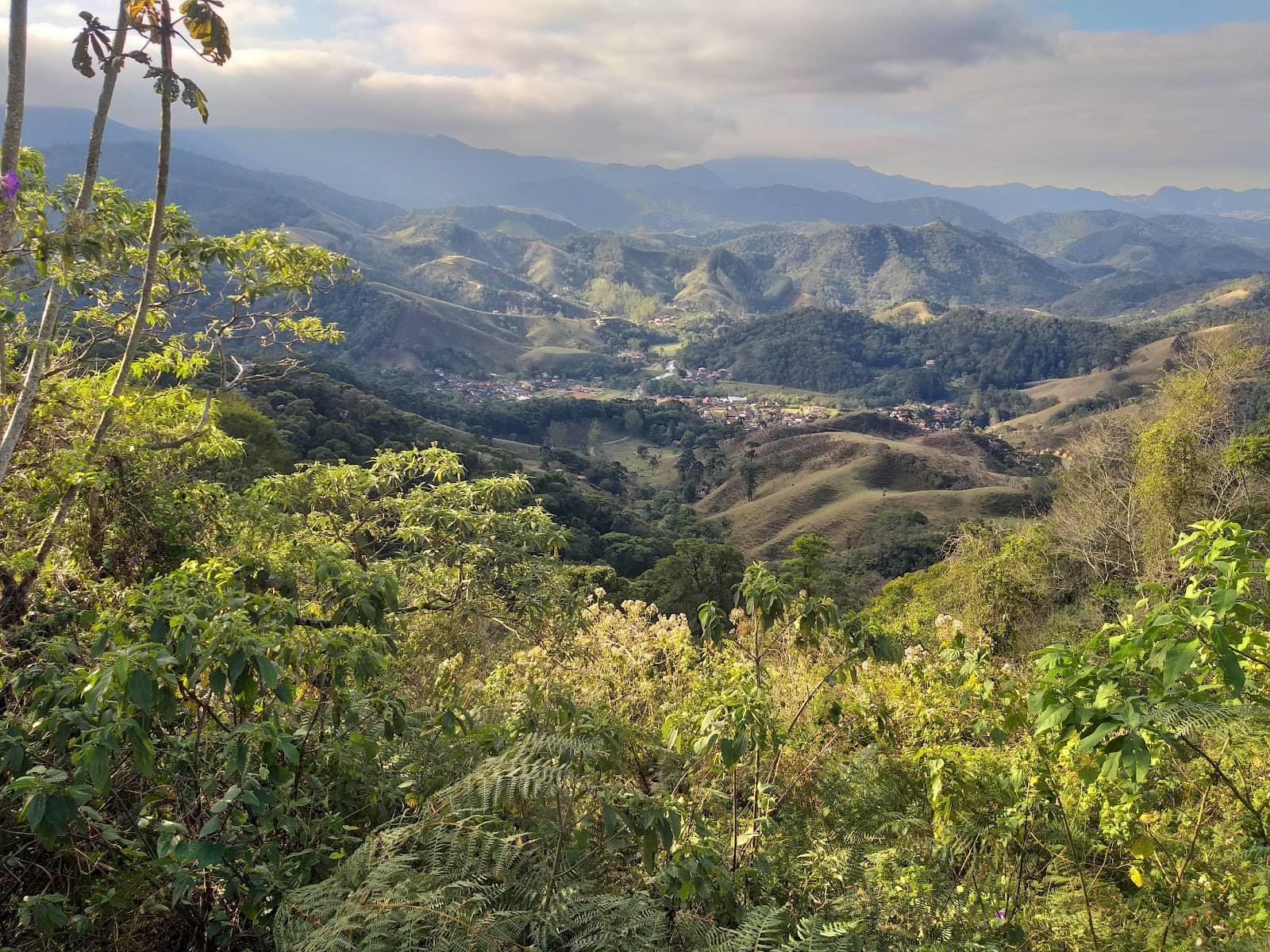 Orchid Garden & Conservation Center