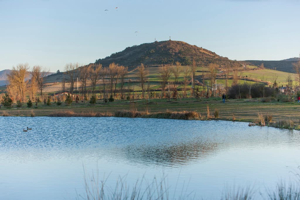 Olarizu Botanical Arboretum - Image 1