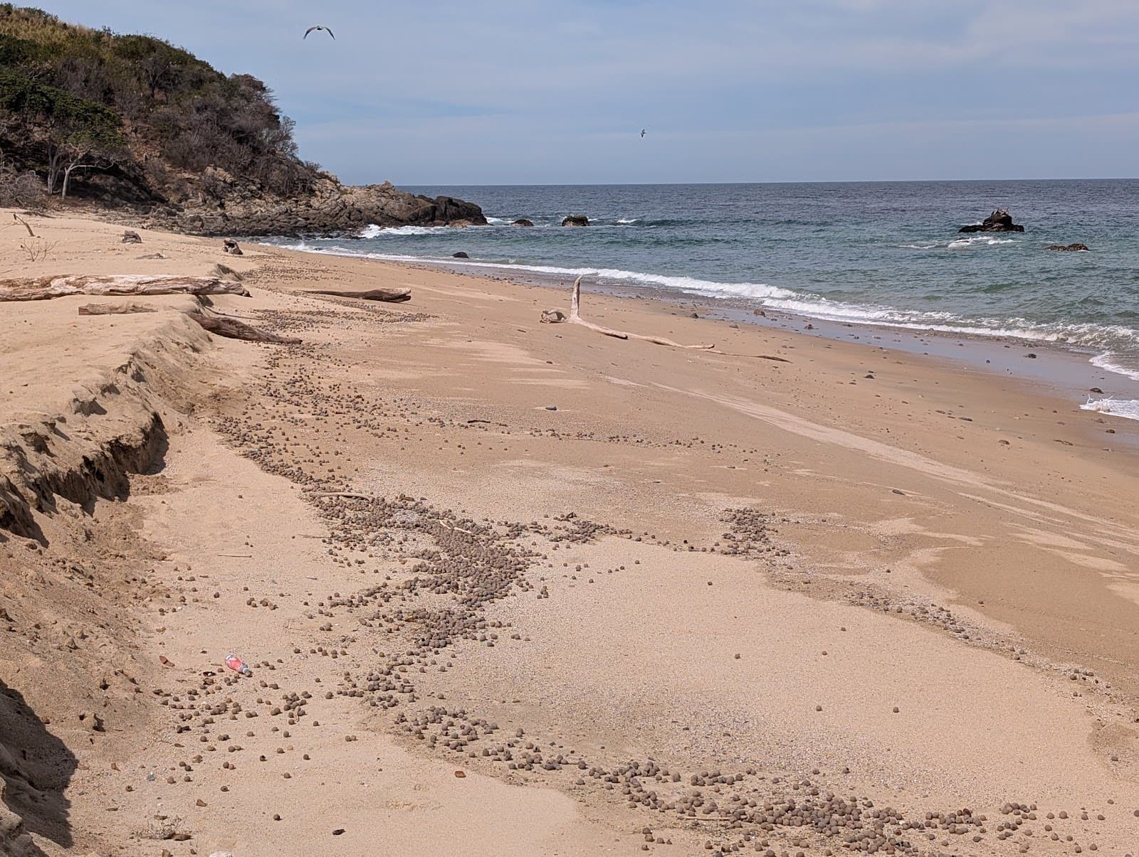 Chimo Dive Sites - Image 1