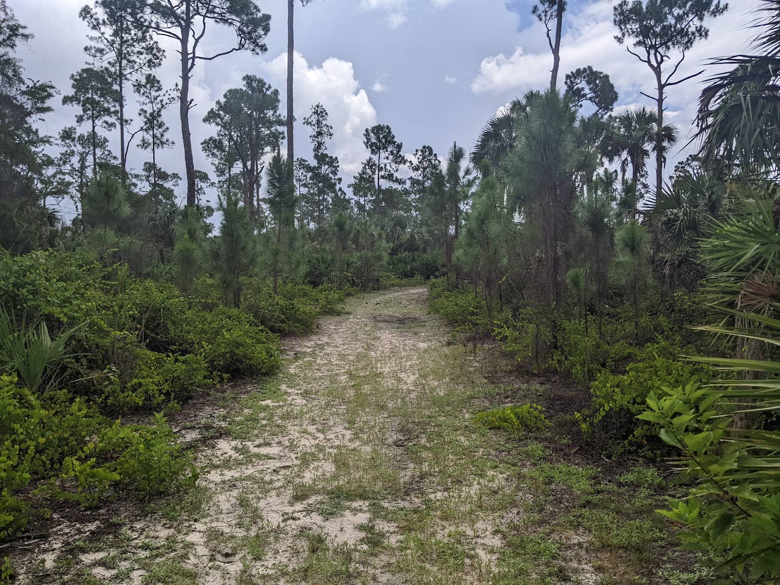 Peaceful Nature Walks