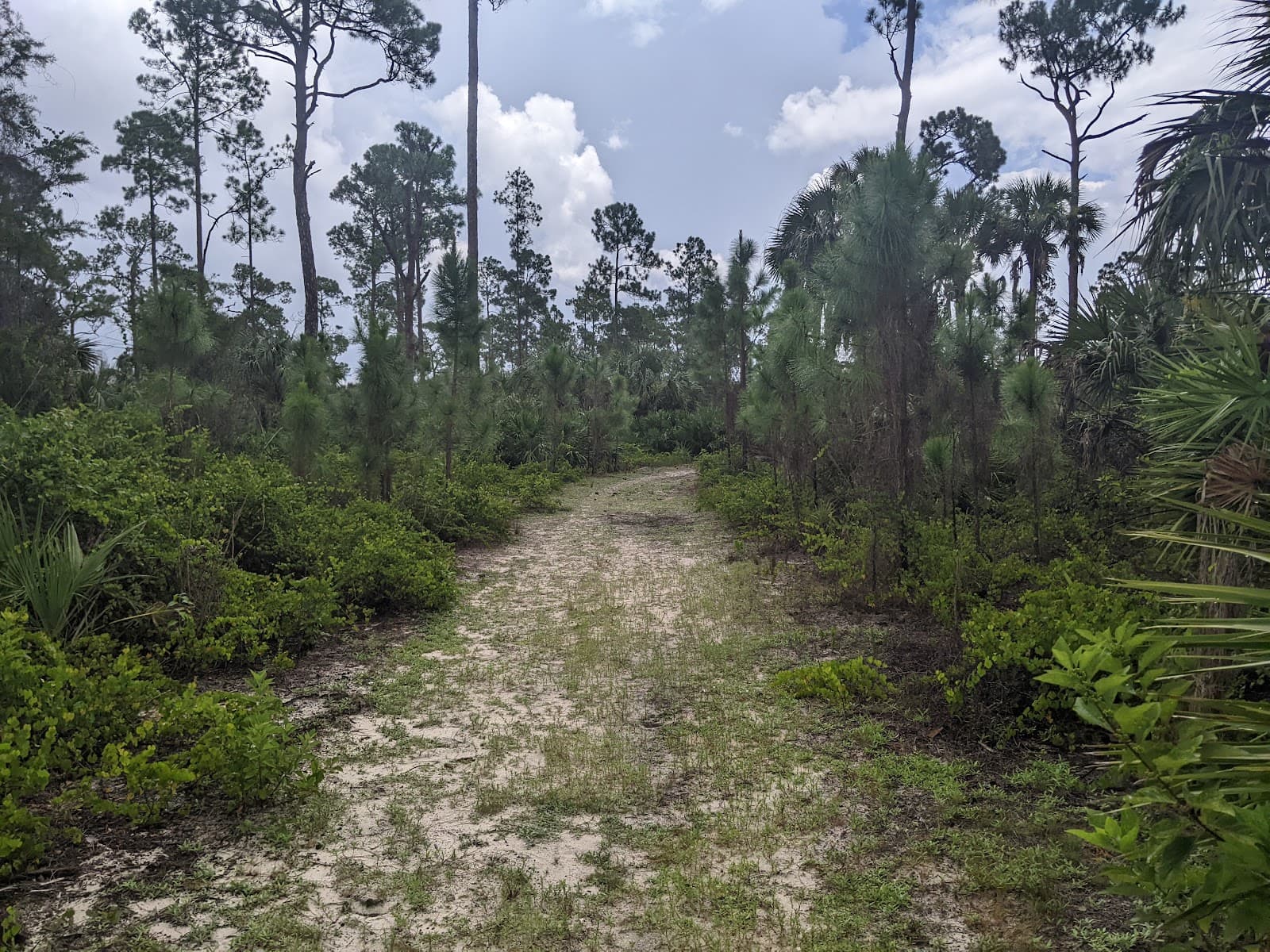 Nancy Payton Preserve - Image 1