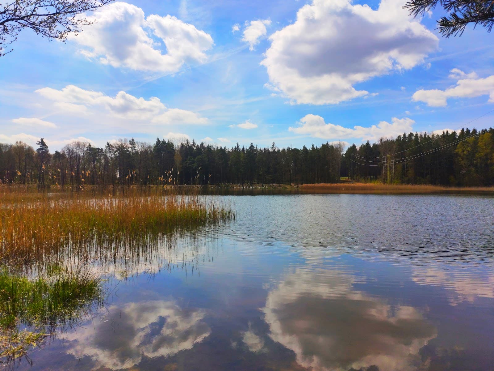 Velký Bolevecký rybník Bolevák - Image 1