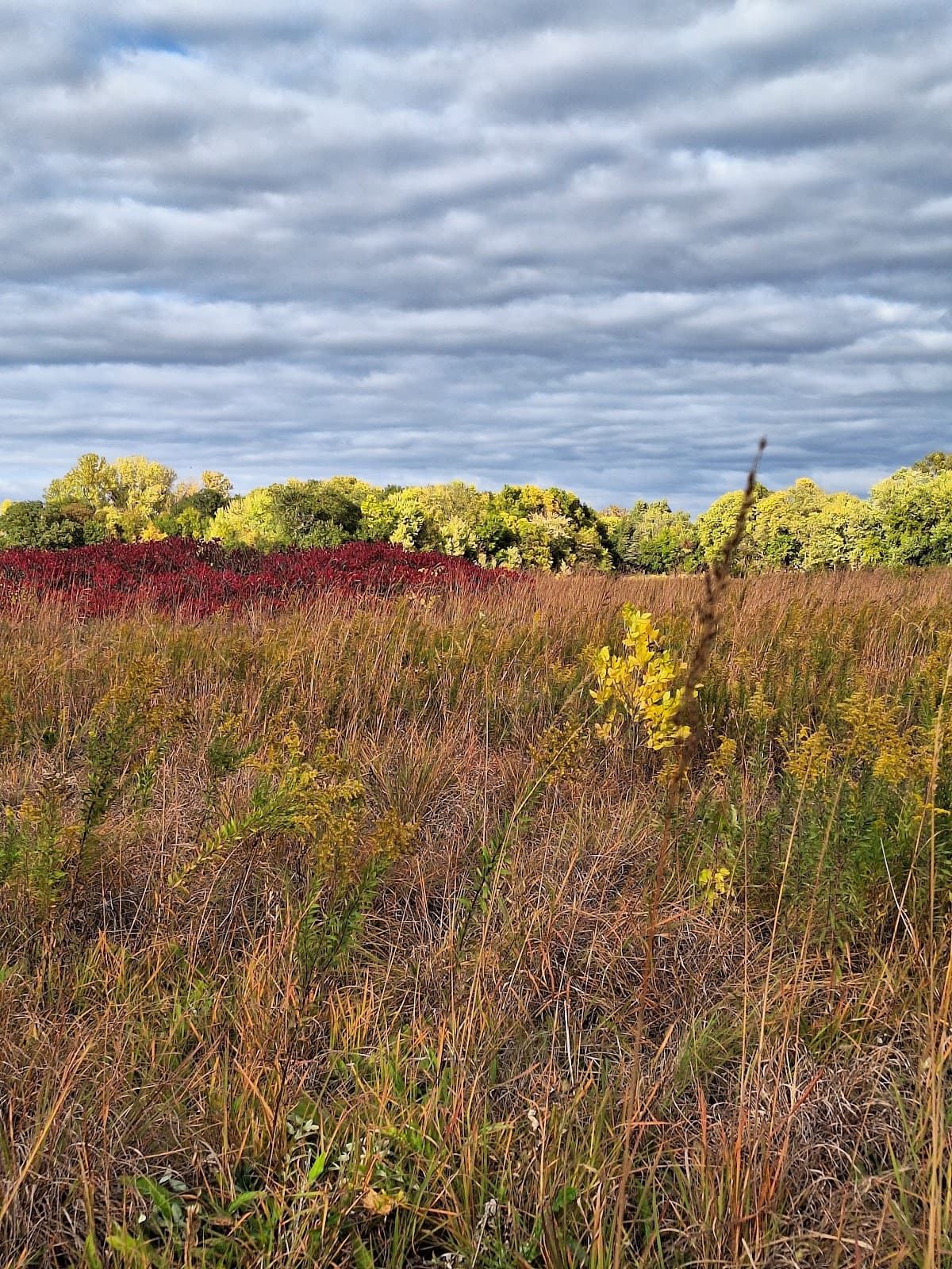 Weaver Park - Image 1