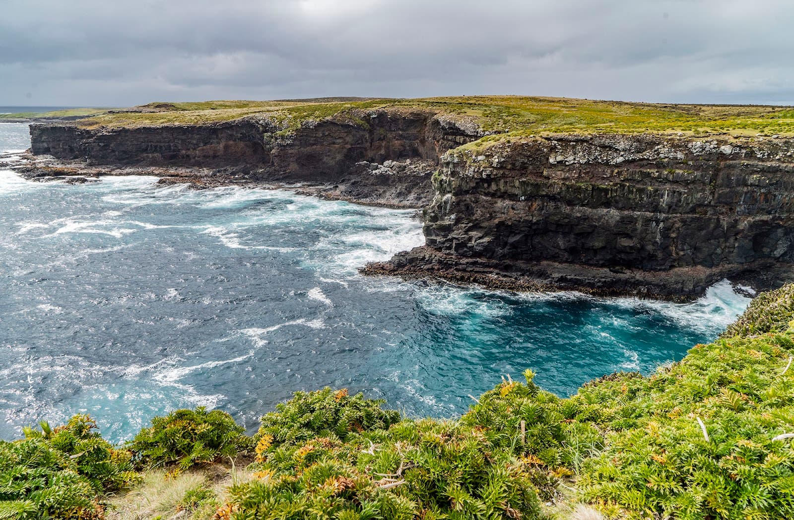 Enderby Island New Zealand - Image 1