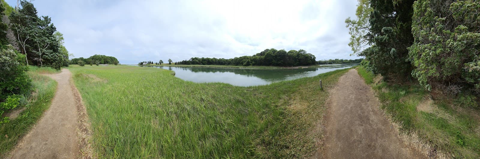 Buttonbush Trail - Image 1