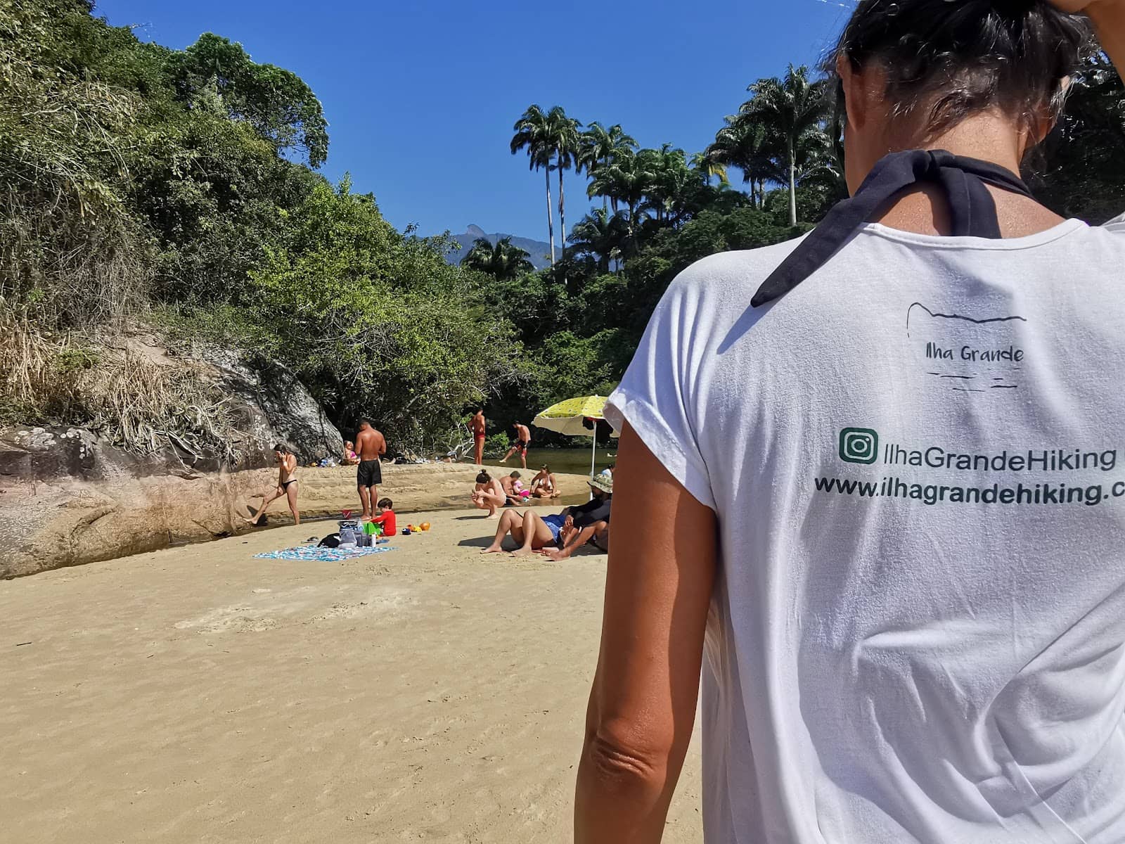 Atlantic Forest Trails