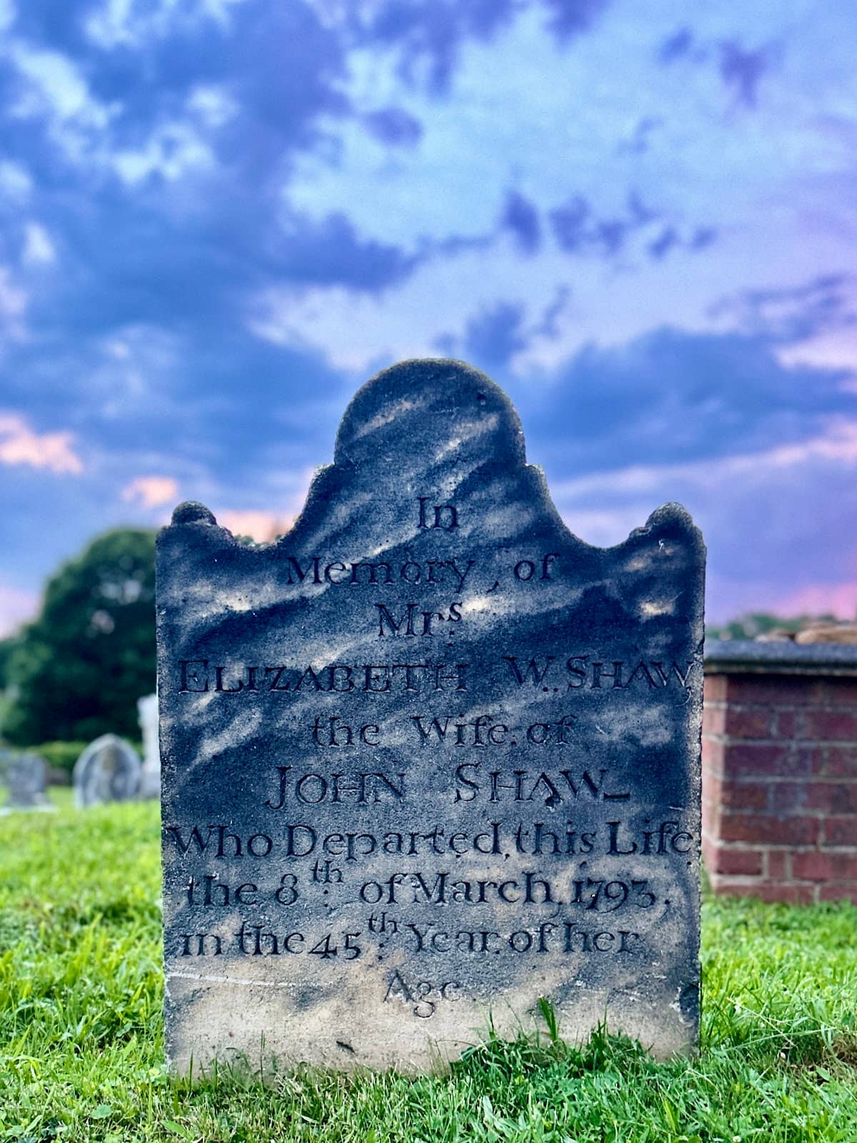 Annapolis Skyline Views