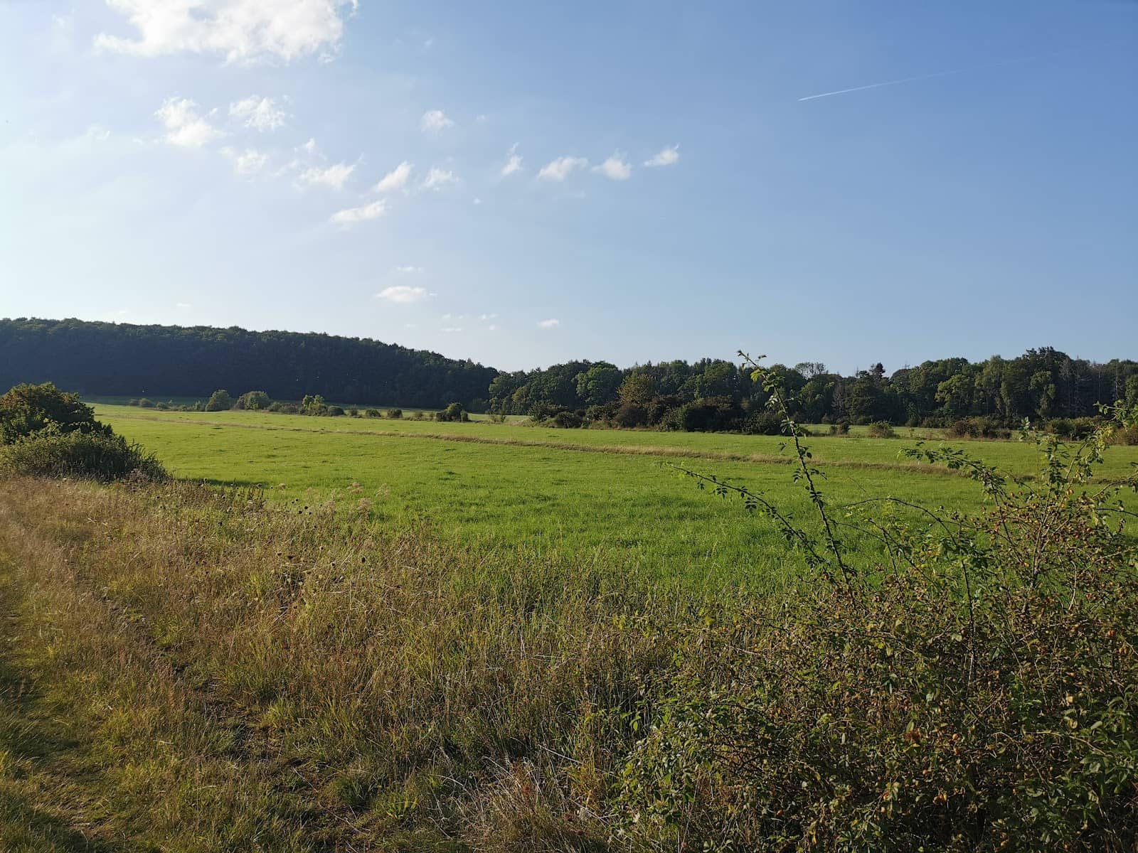 Natural Hiking Trails