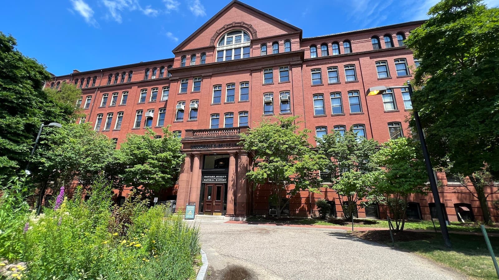 Harvard Museum of Natural History Boston - Image 1